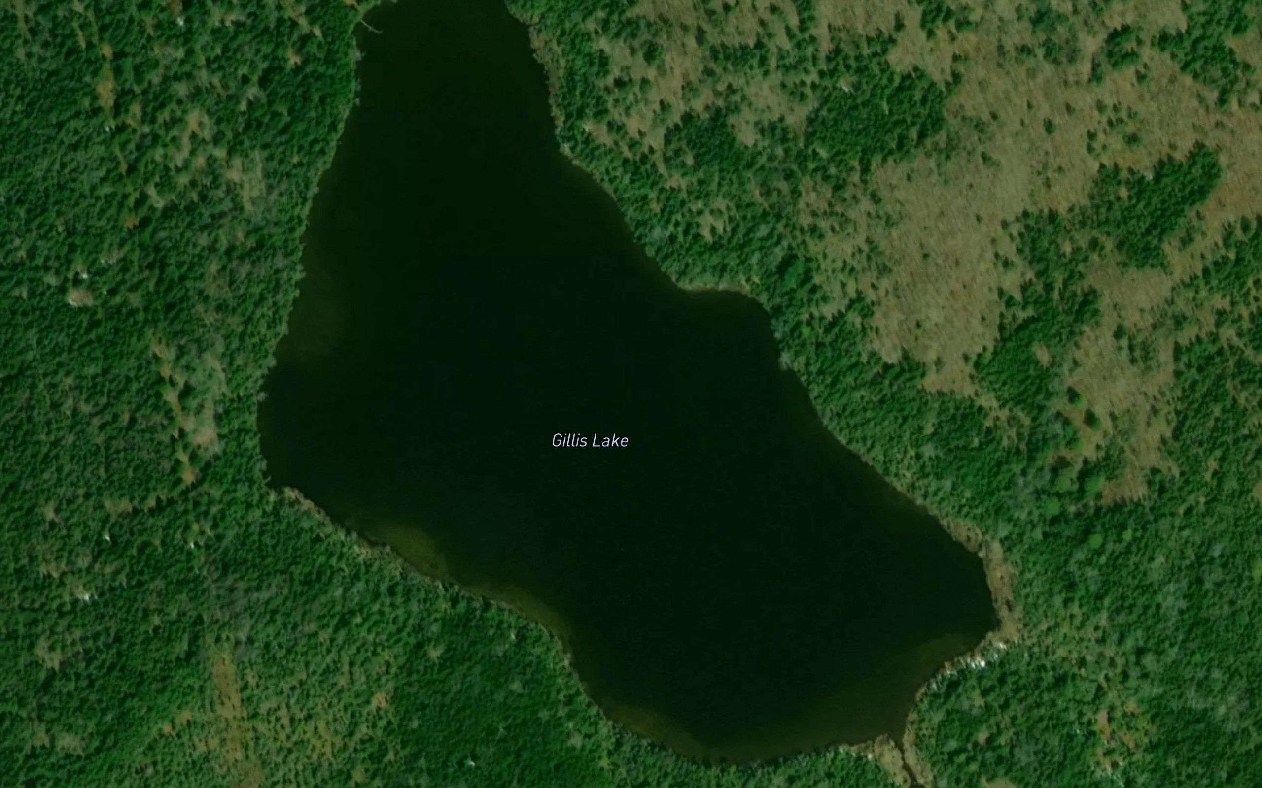 Gillis Lake