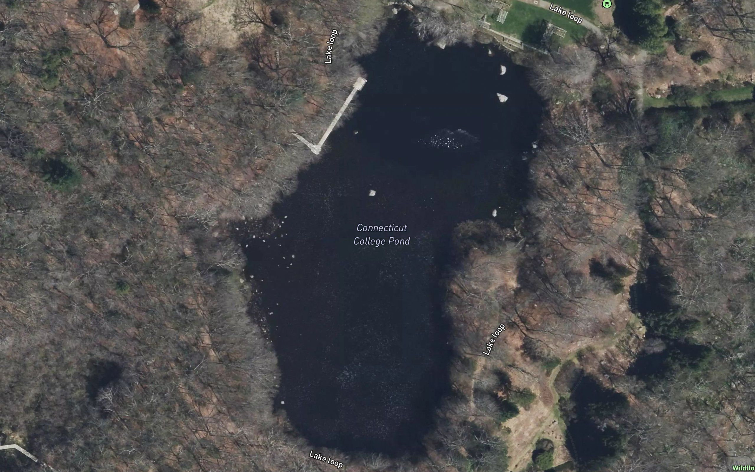 Connecticut College Pond