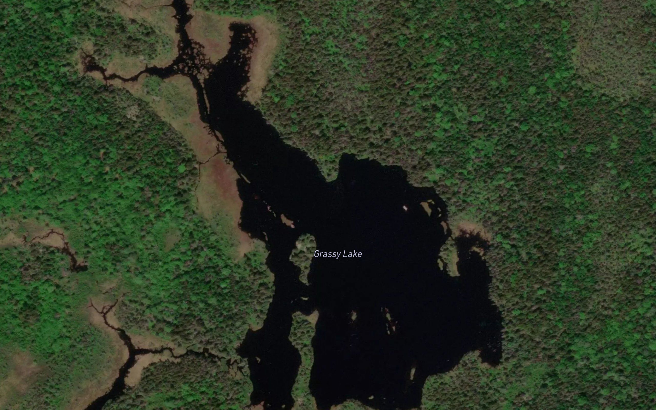Grassy Lake