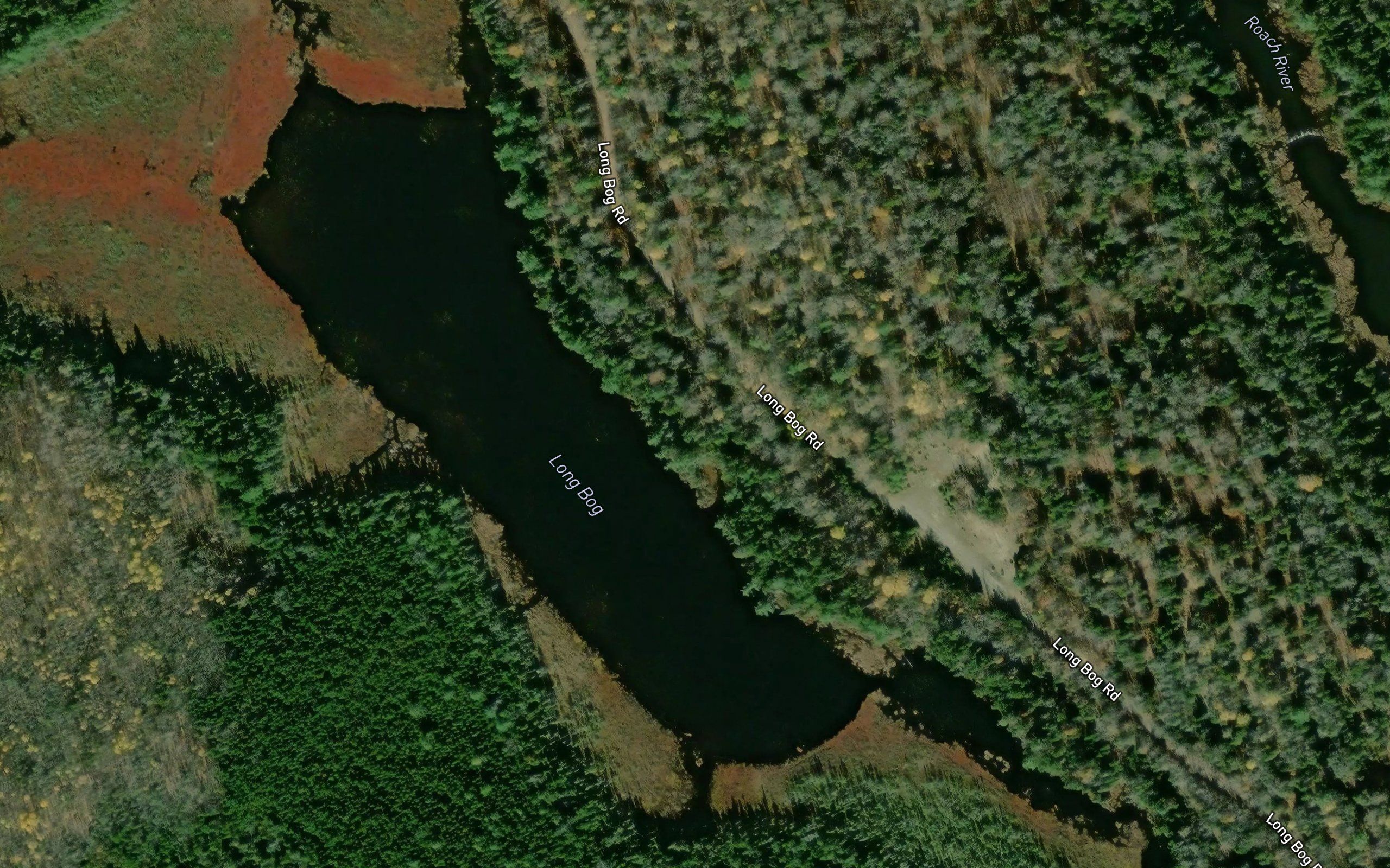 Long Bog