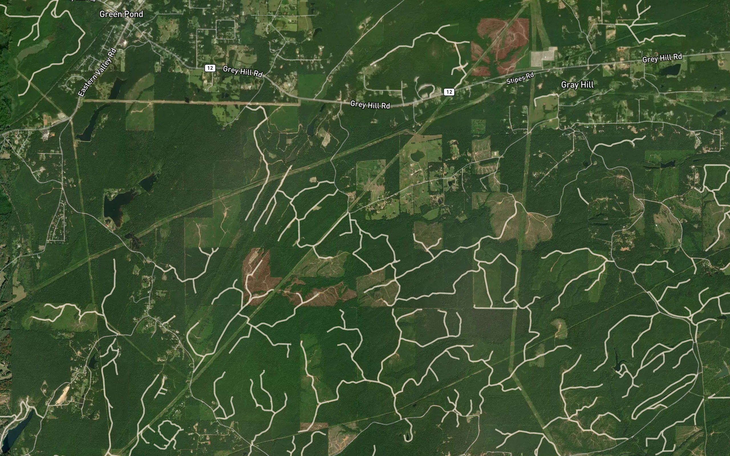 Middle Branch