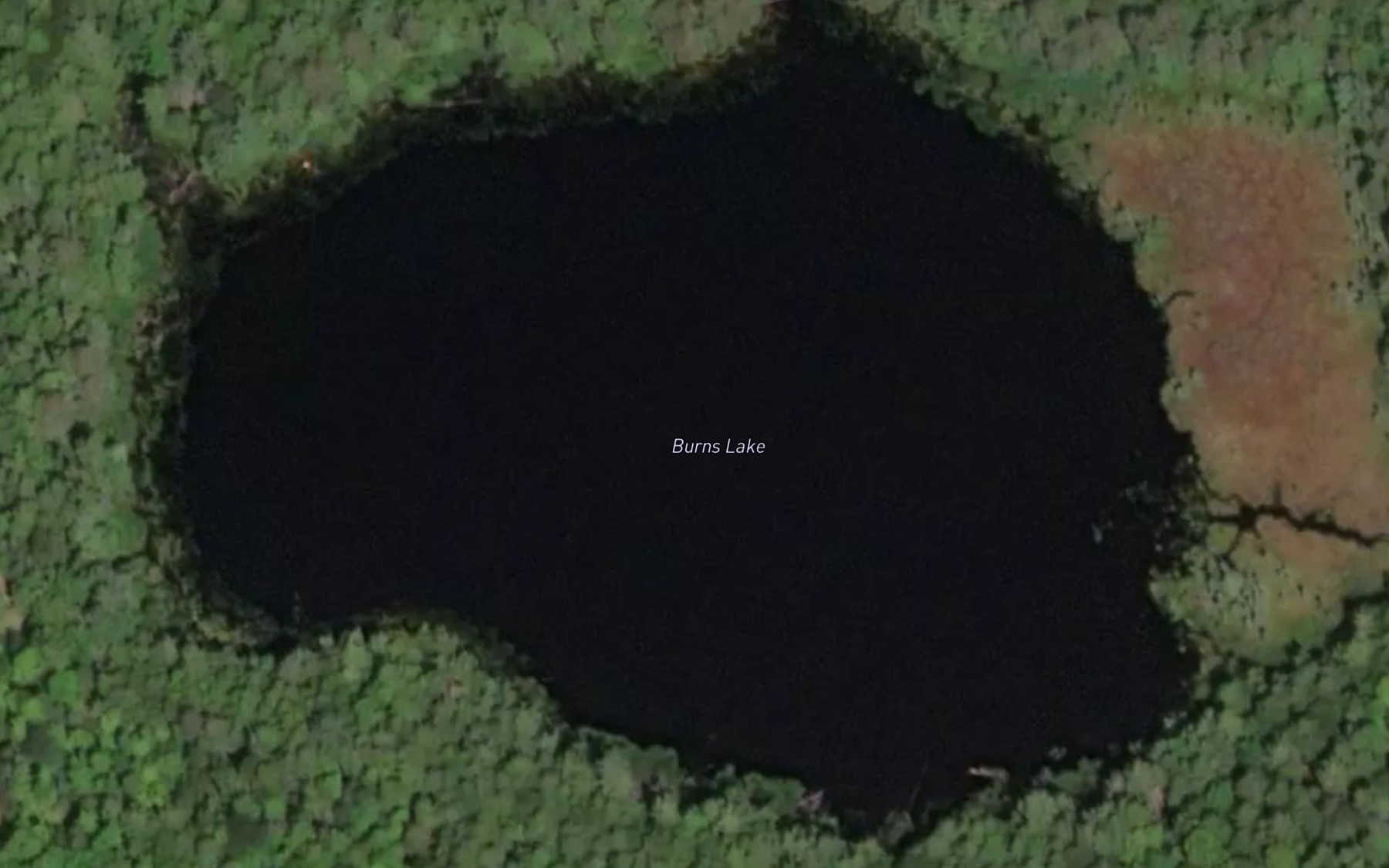 Satellite map of the Burns Lake