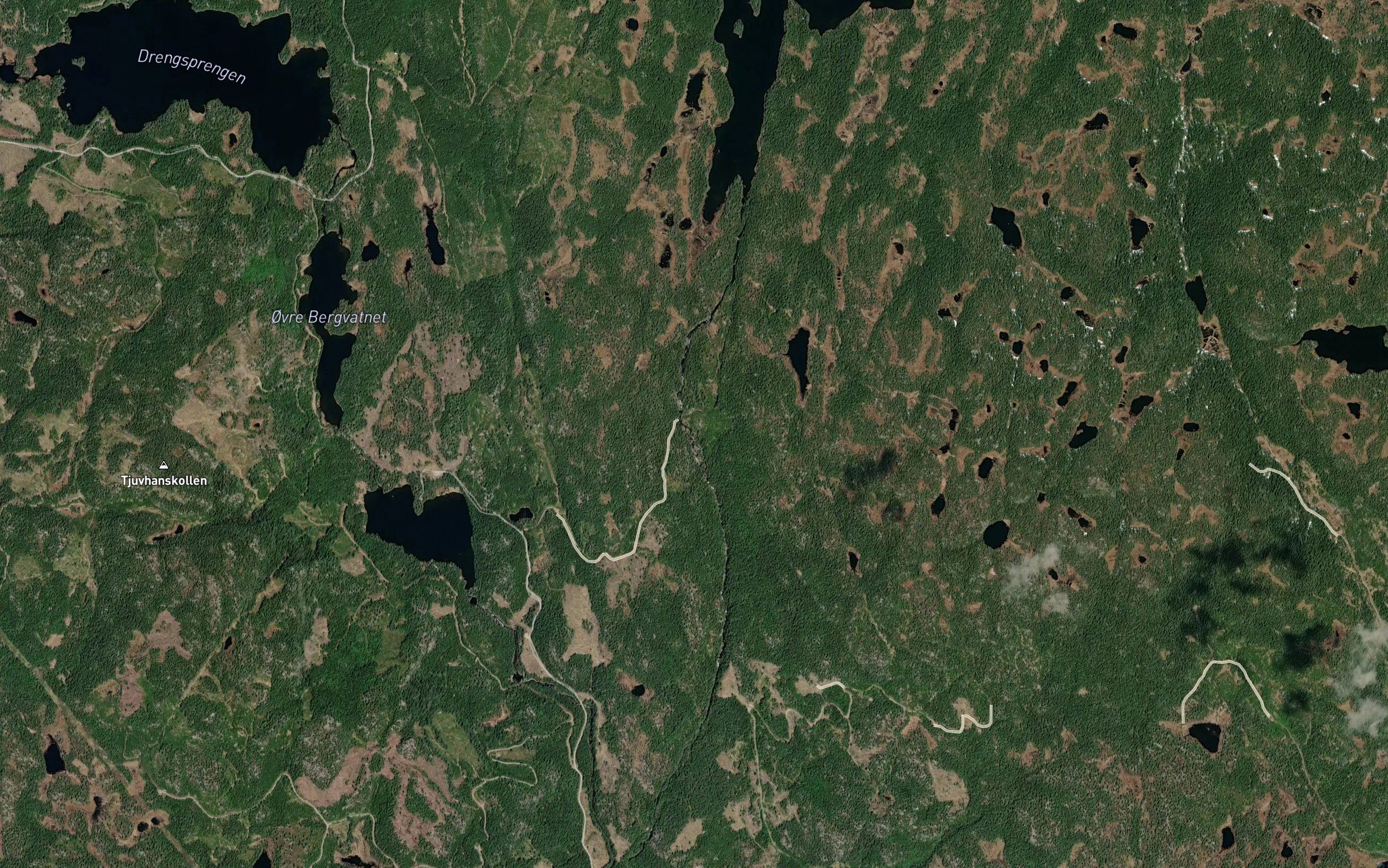 Tverrvasselve