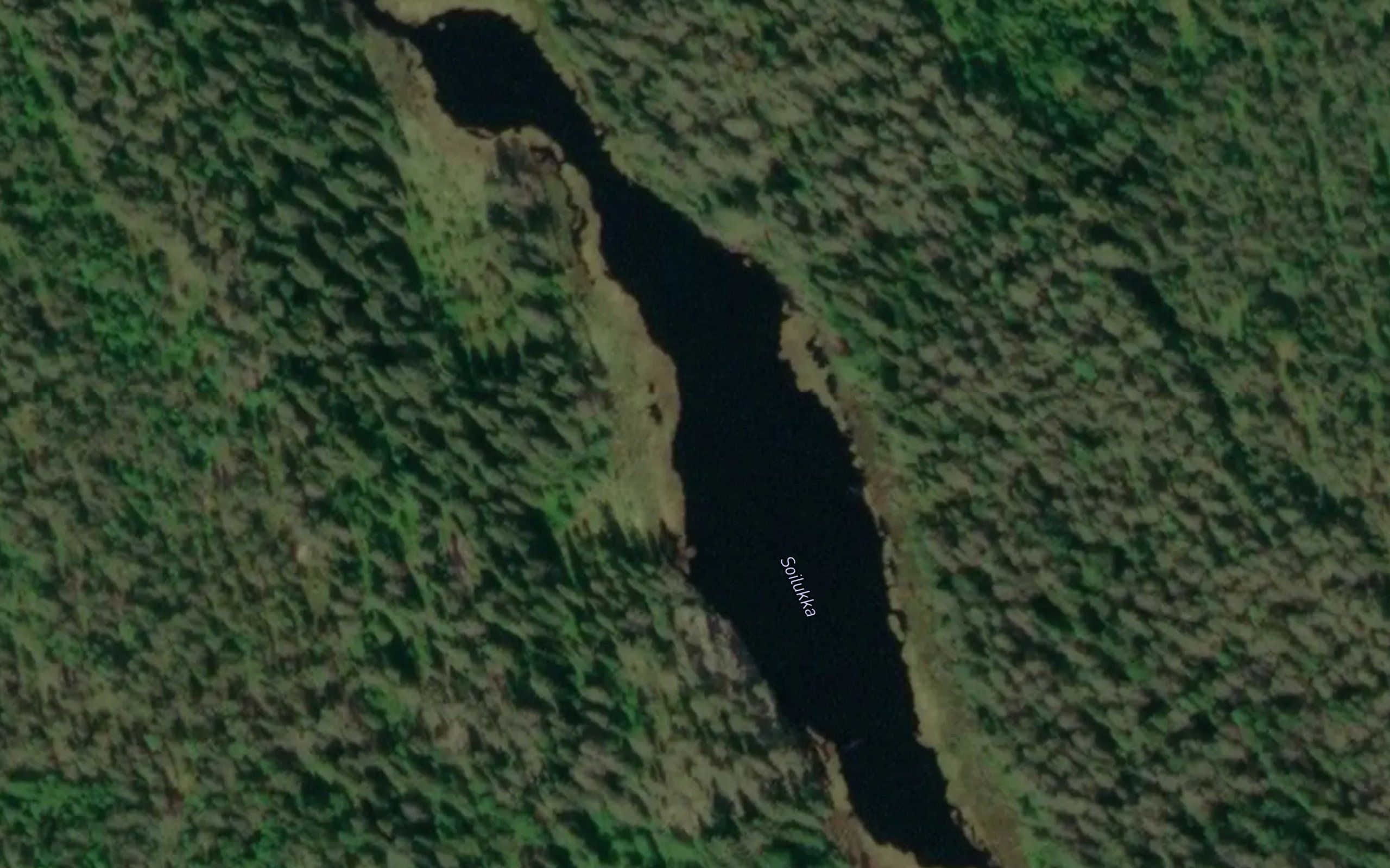 Soilukka