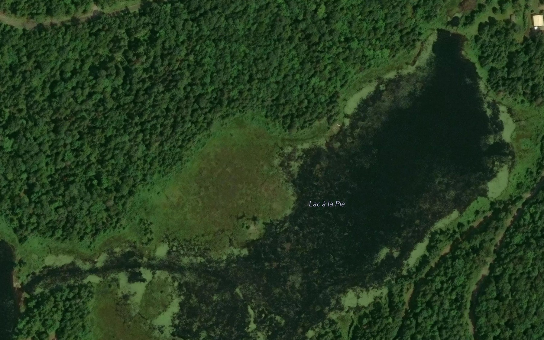 Satellite map of the Lac a la Pie