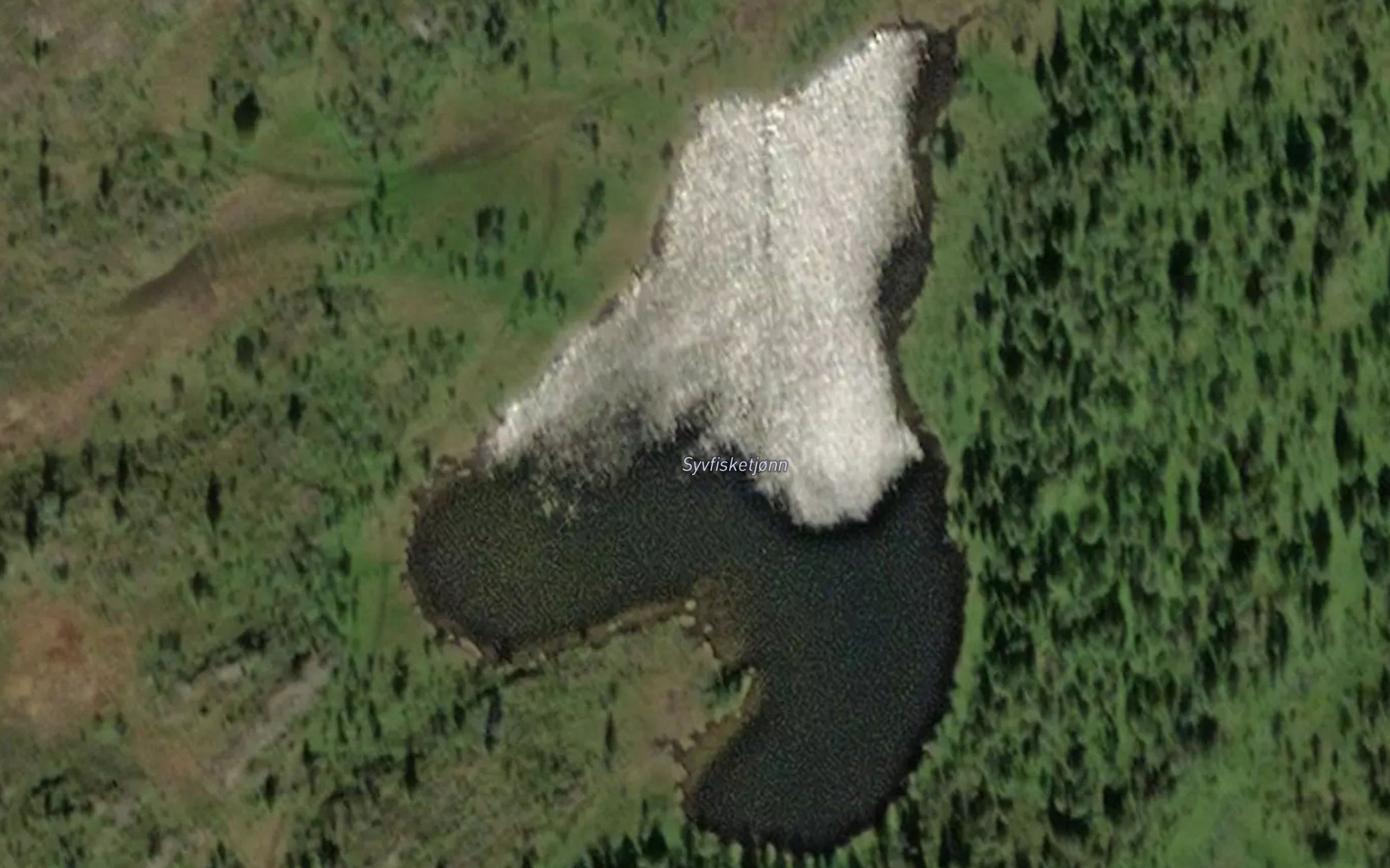 Syvfisketjonn