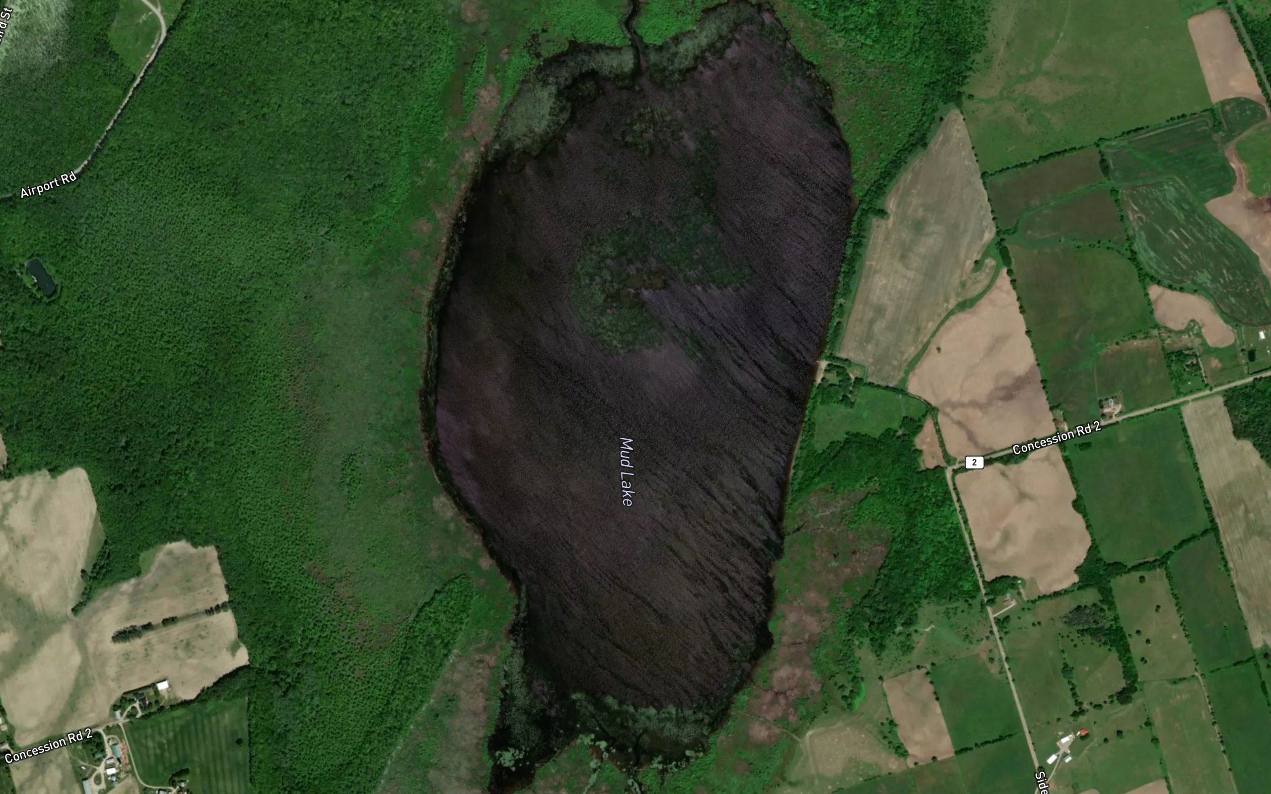 Mud Lake
