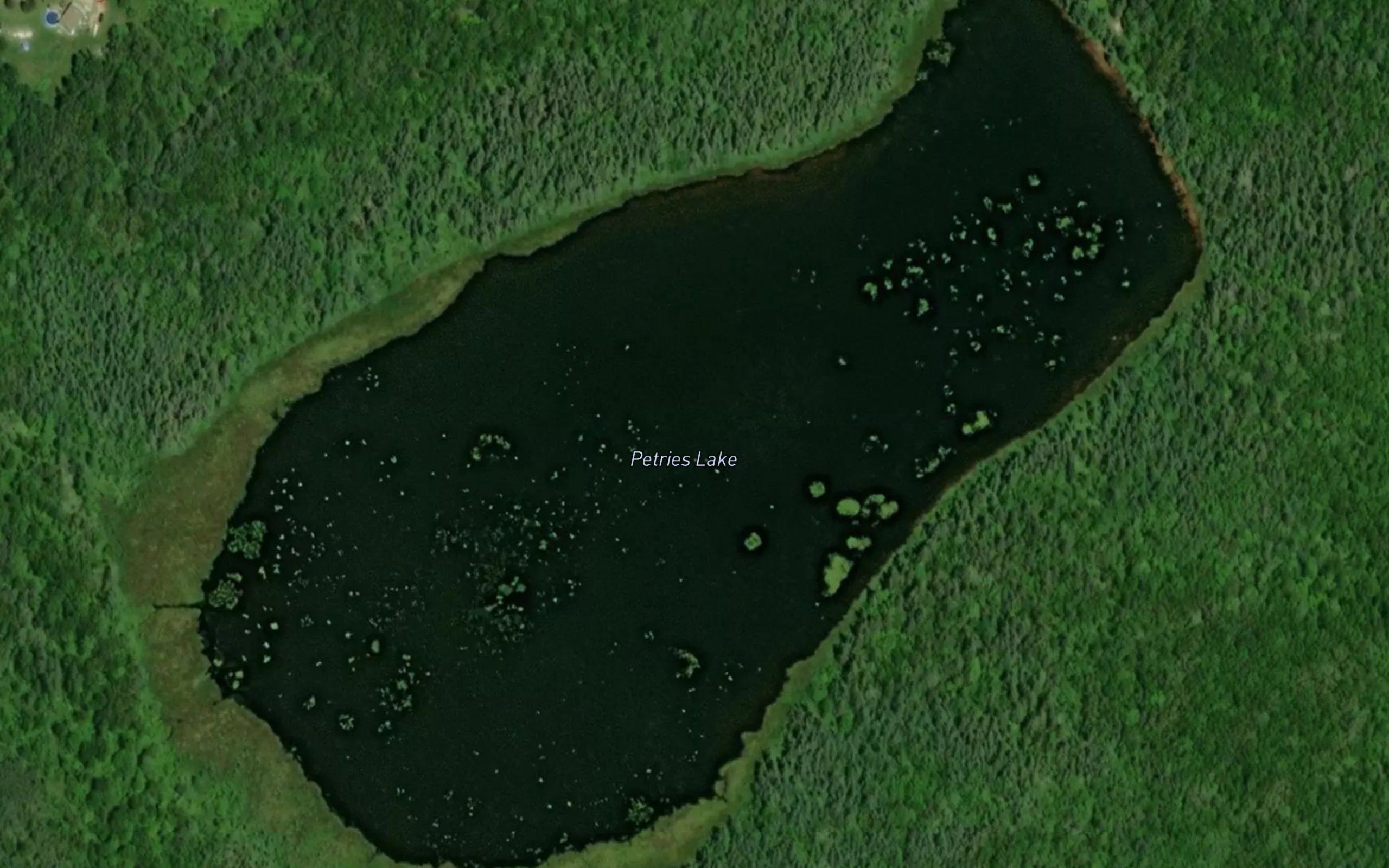Petries Lake