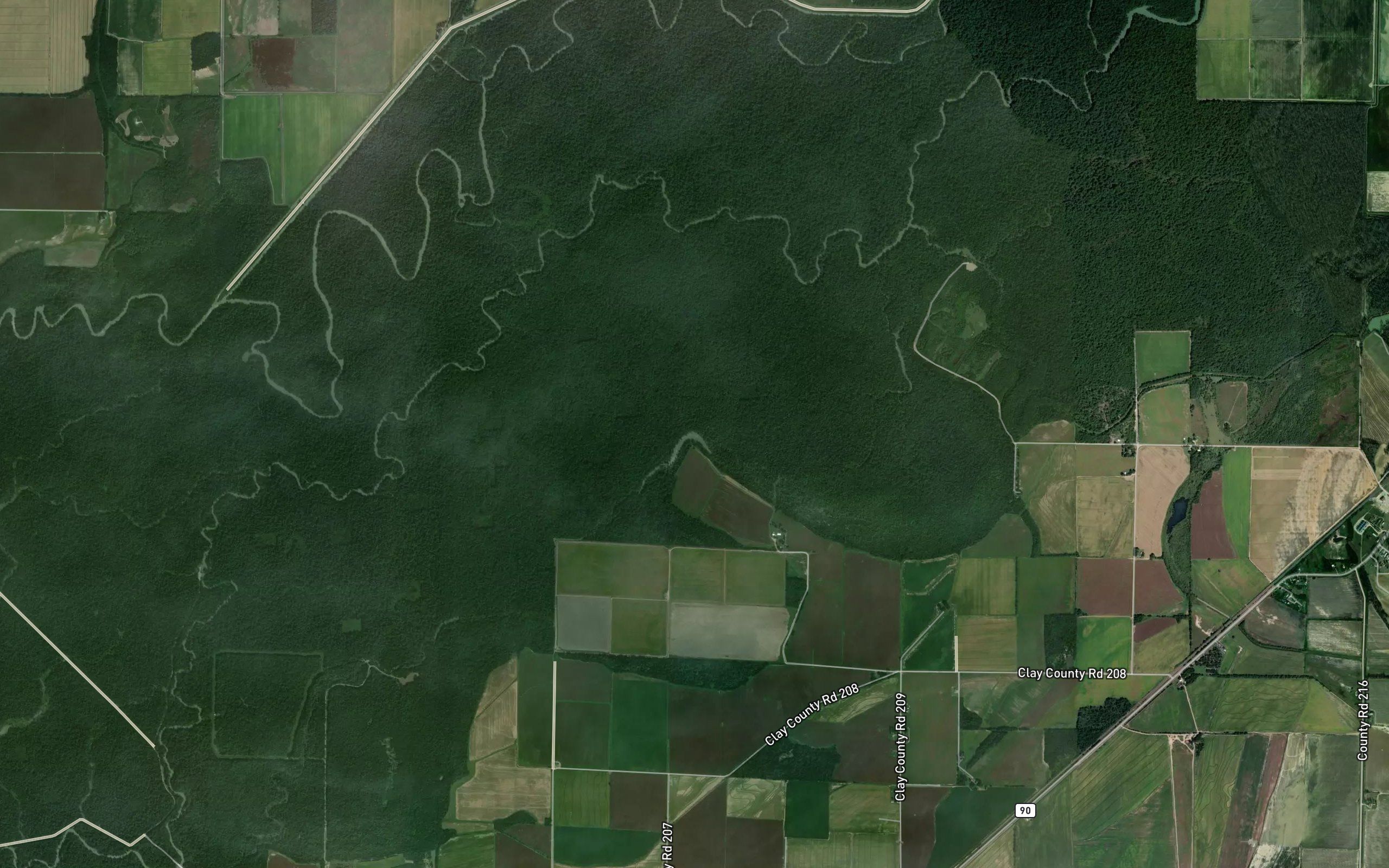 Woodland Slough