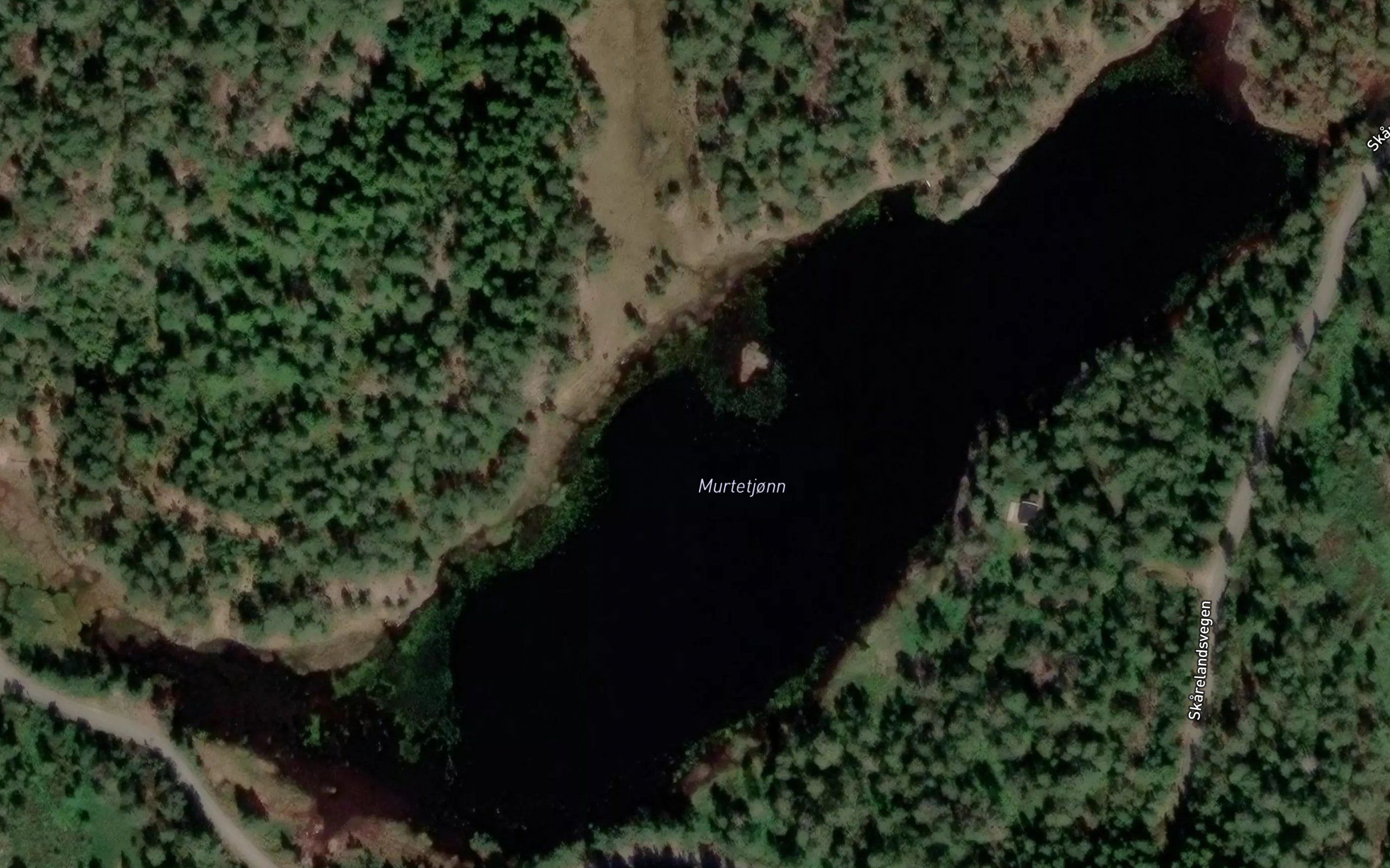 Murtetjonn