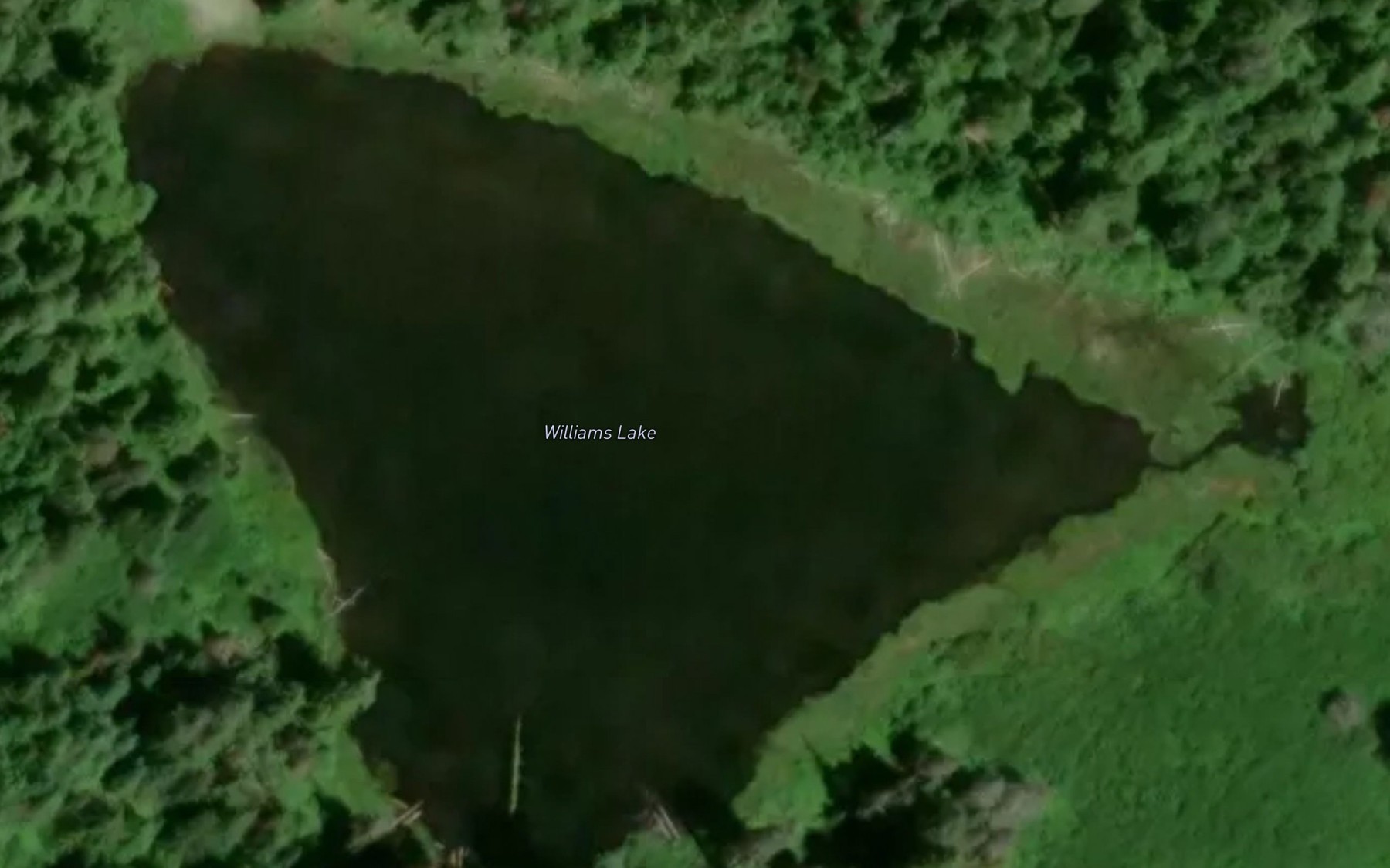 Satellite map of the Williams Lake