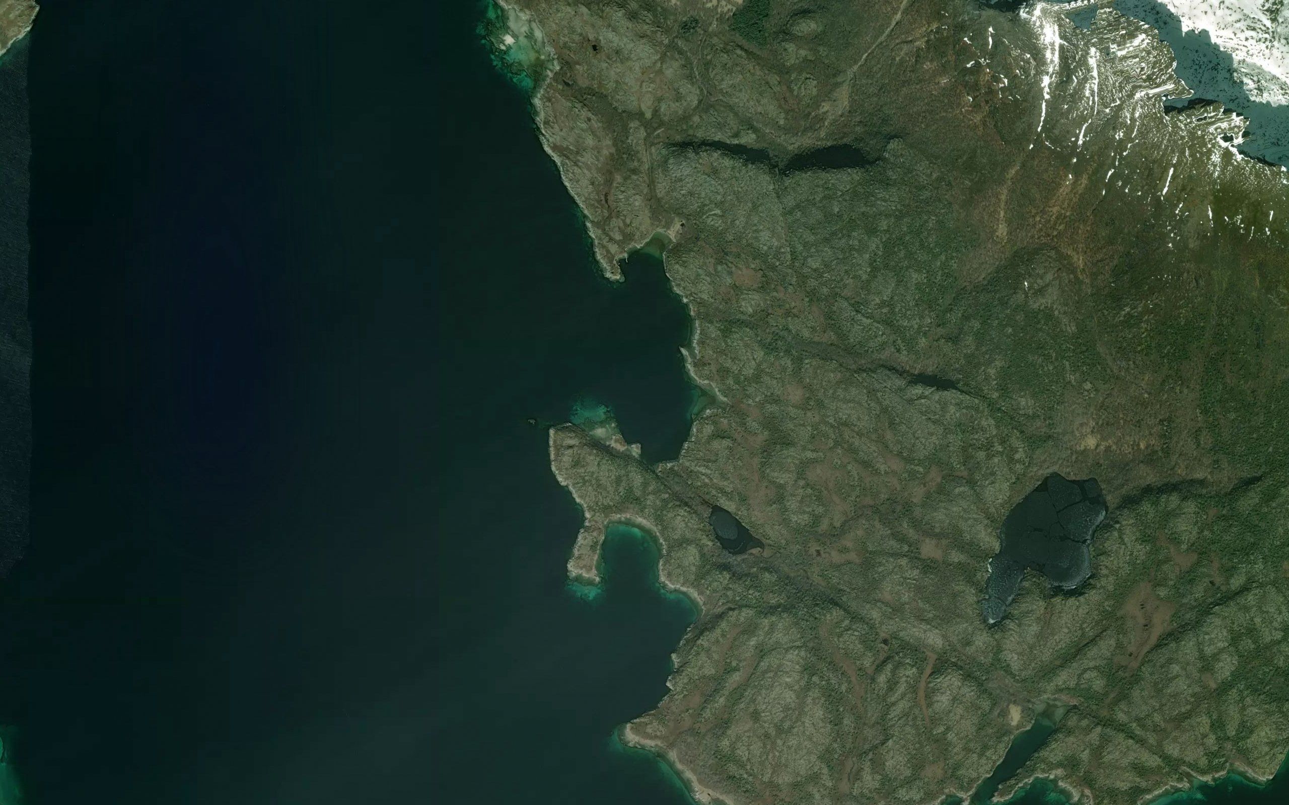 Alsvika