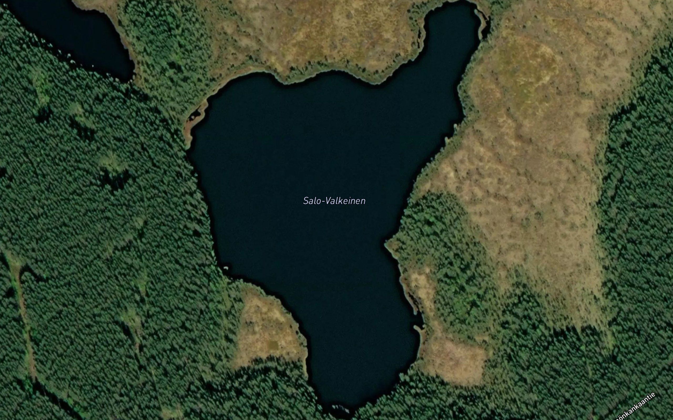 Salo-Valkeinen