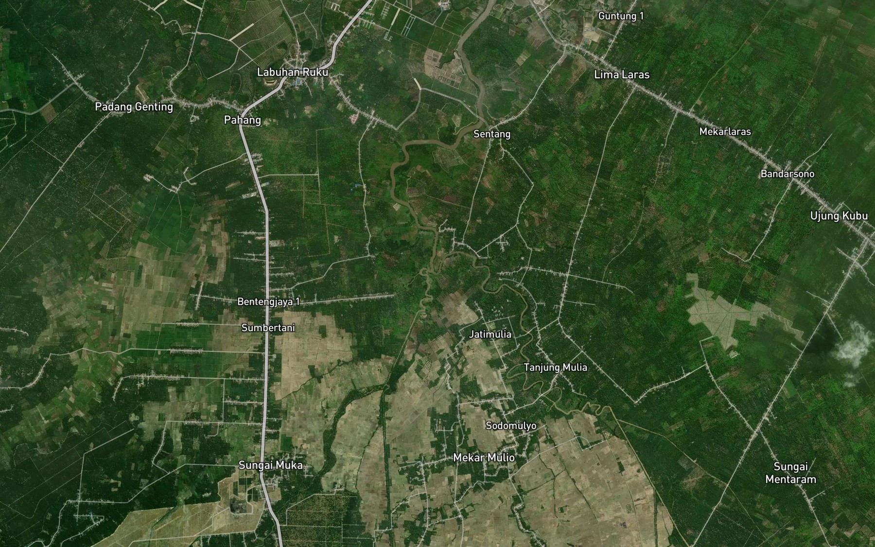 Satellite map of the Sungai Bunut