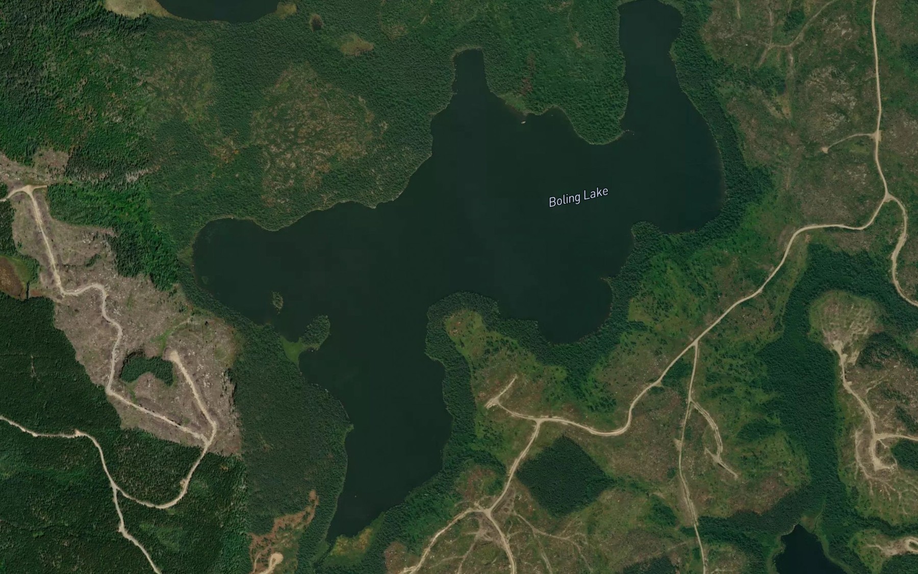 Satellite map of the Boling Lake