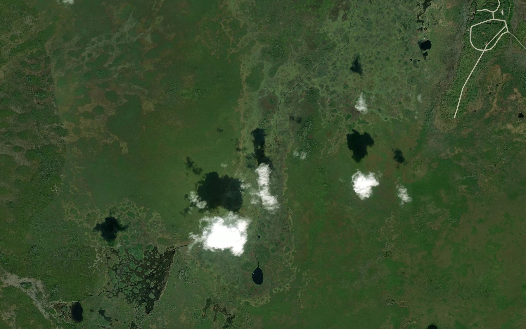 Satellite map of the Little Cooter Lake