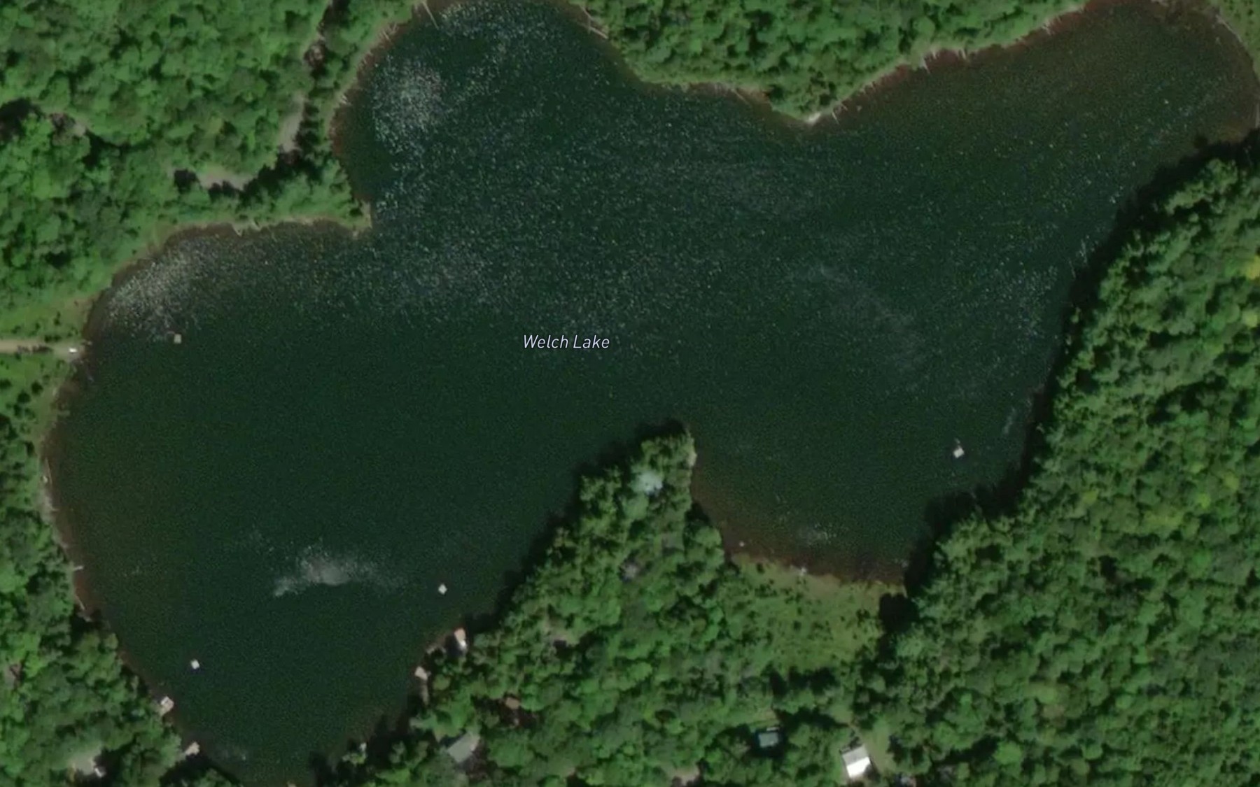 Satellite map of the Welch Lake