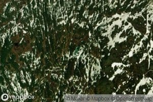 Gronfjelltjenna