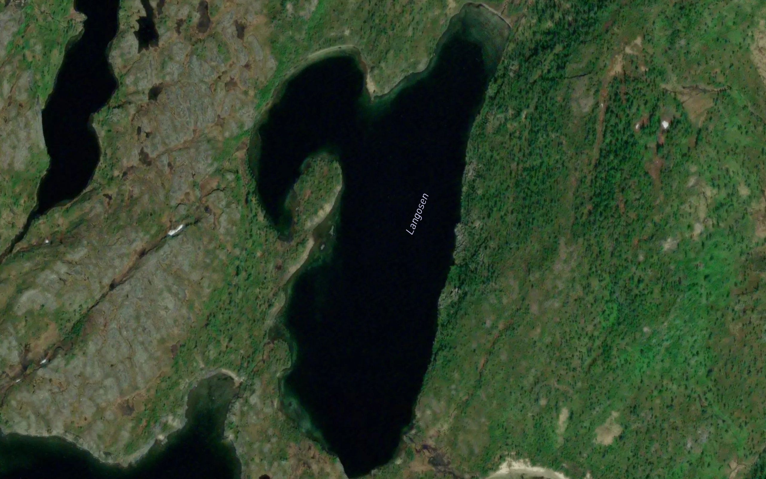 Langosen