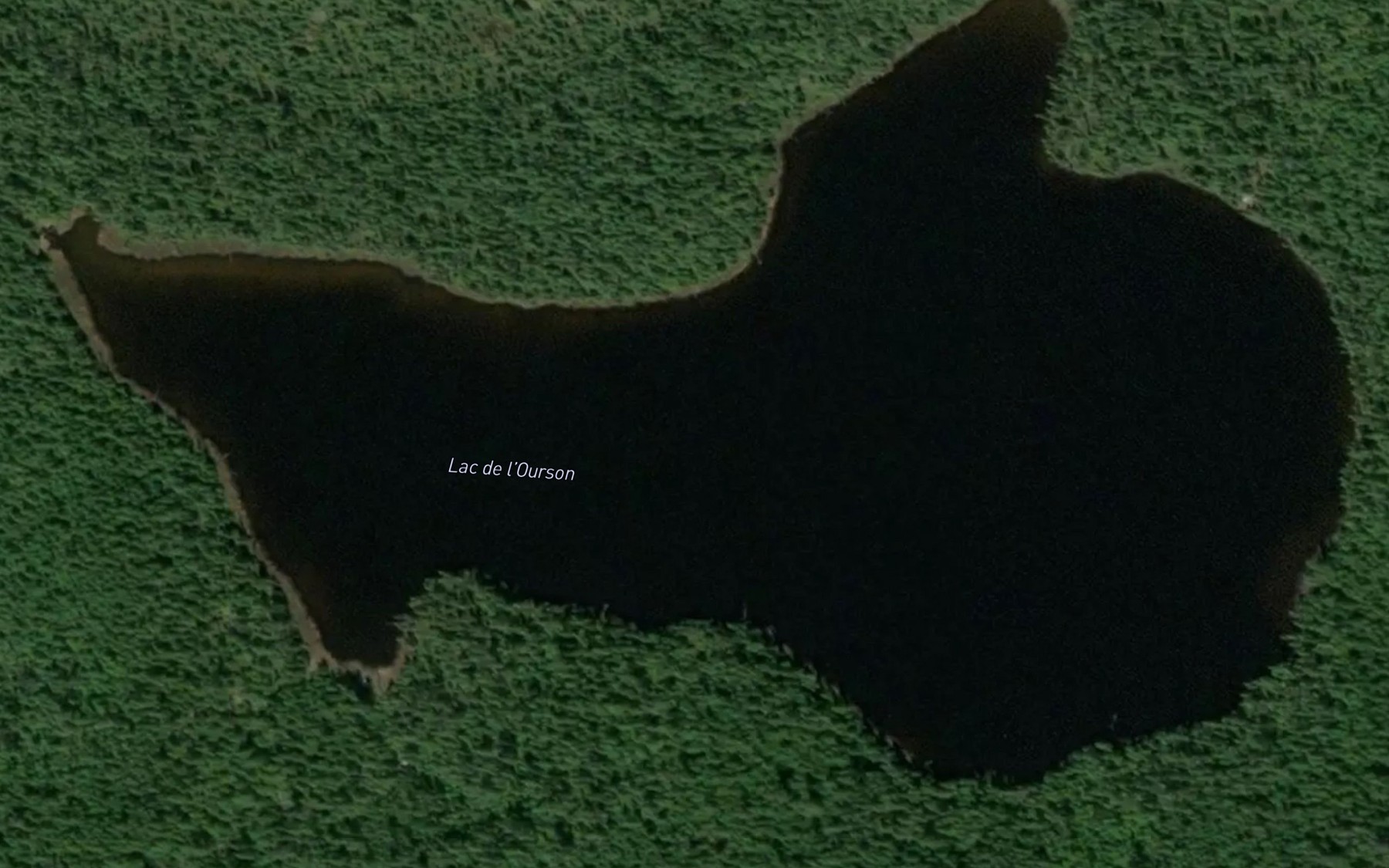 Satellite map of the Lac de l'Ourson