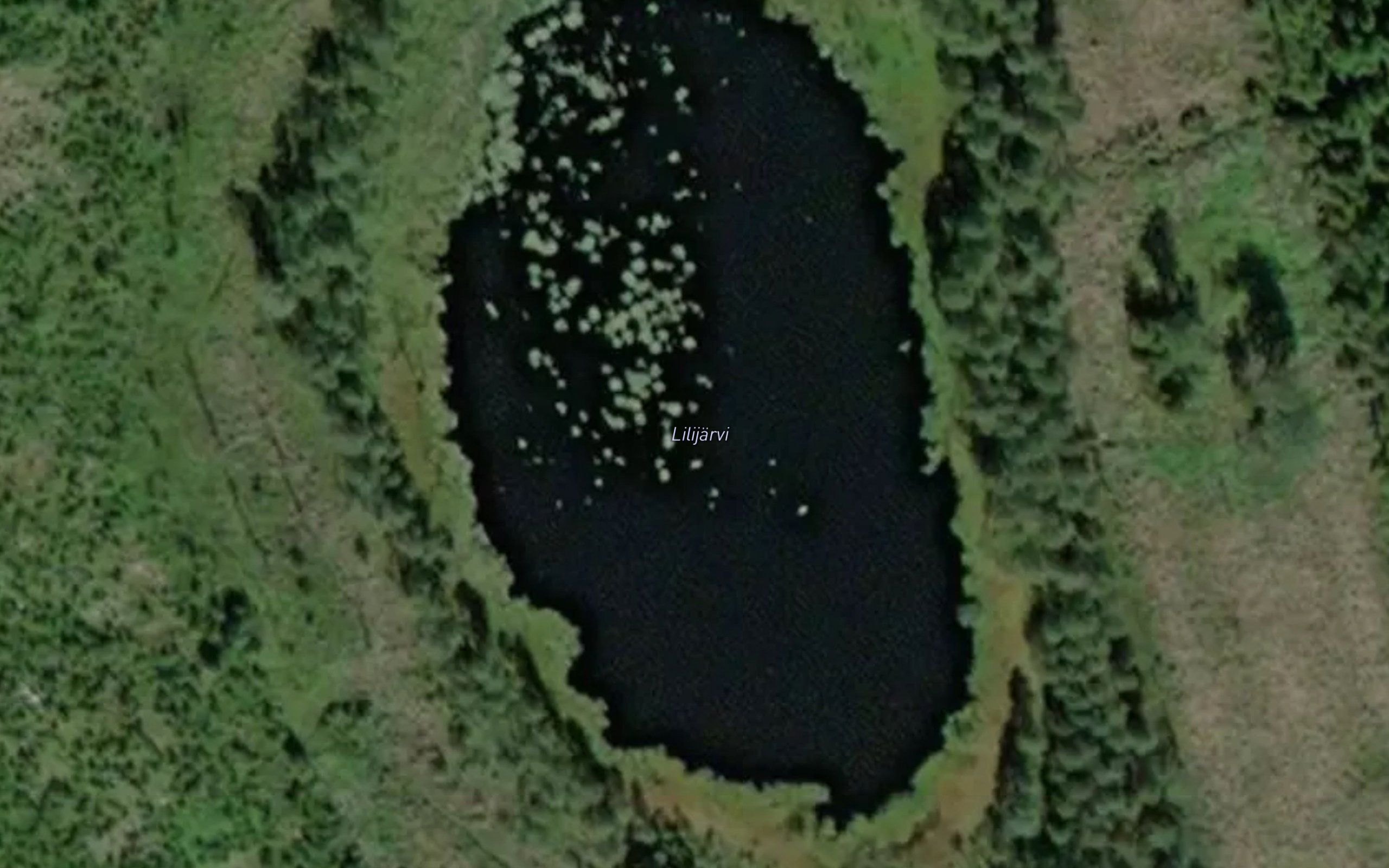Iilijarvi
