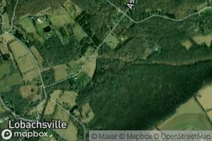 West Branch Pine Creek