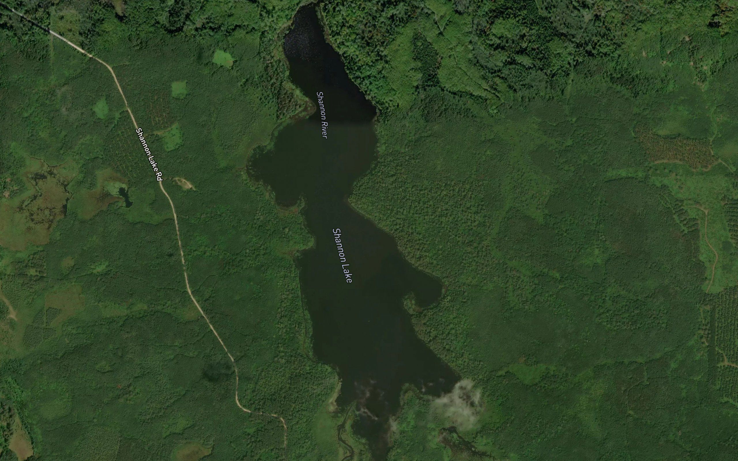 Shannon Lake