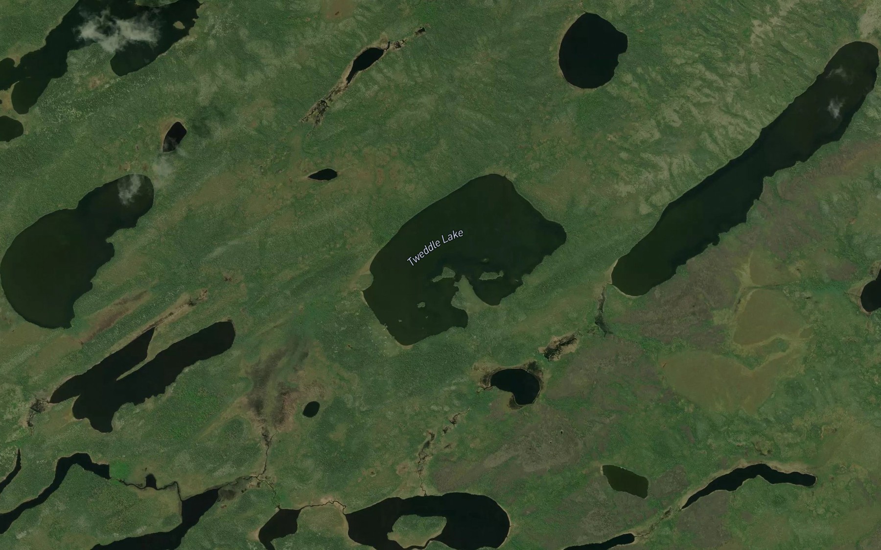 Satellite map of the Tweddle Lake