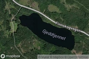 Gjedtjennet