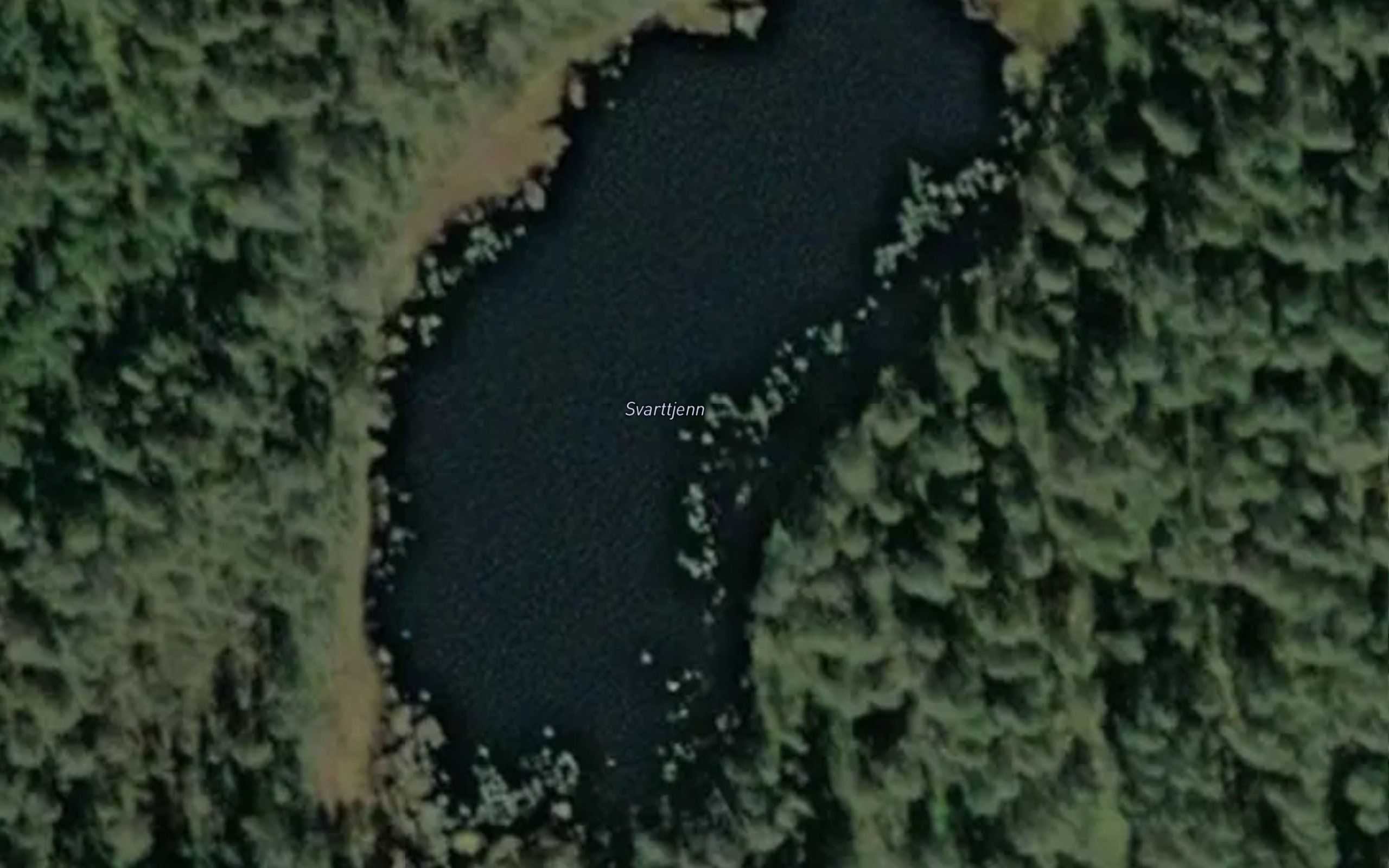 Svarttjern