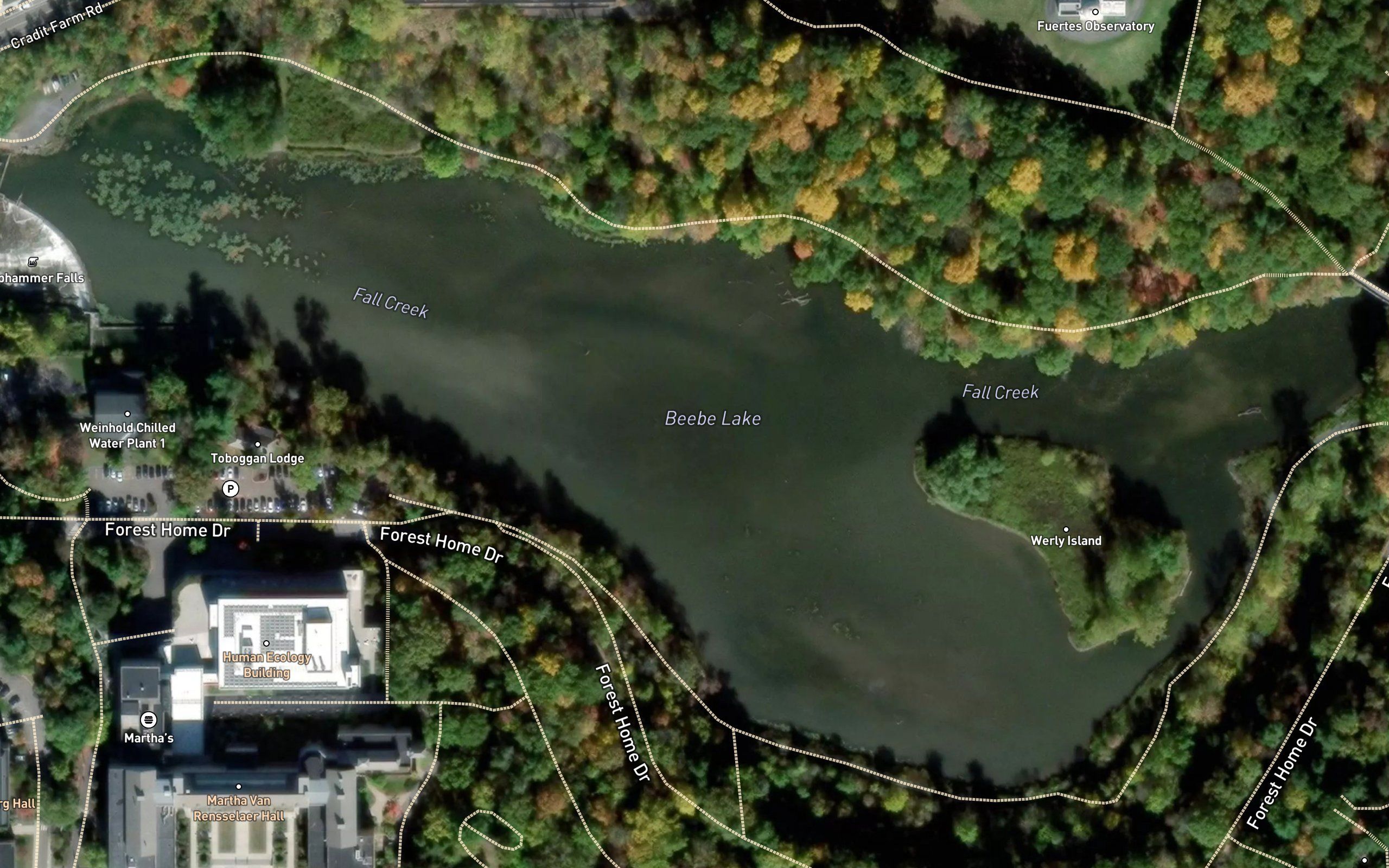 Beebe Lake
