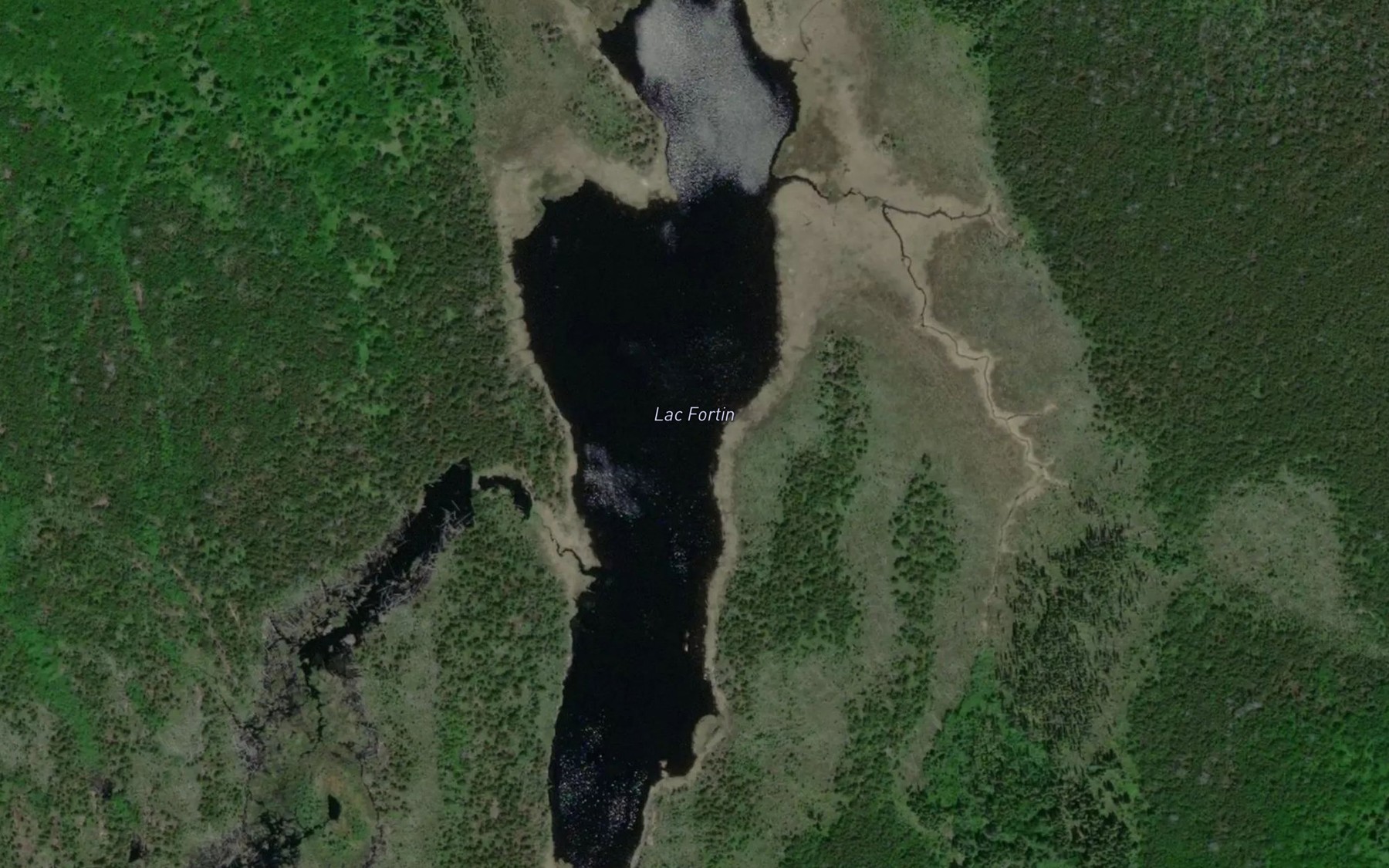 Satellite map of the Lac Fortin