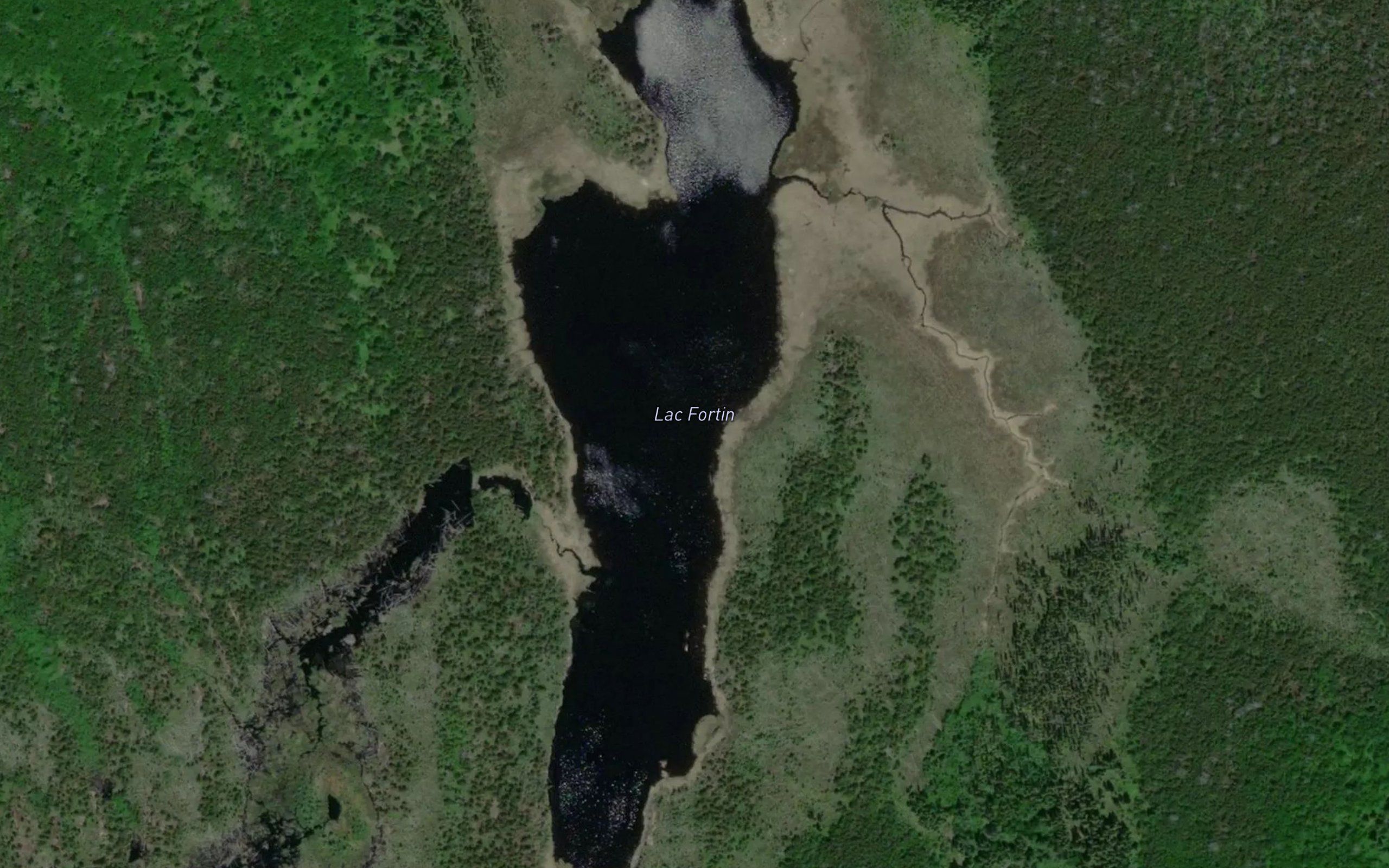 Lac Fortin