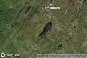 Mjeltestjorn