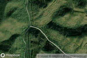 Middle Fork Spruce Branch