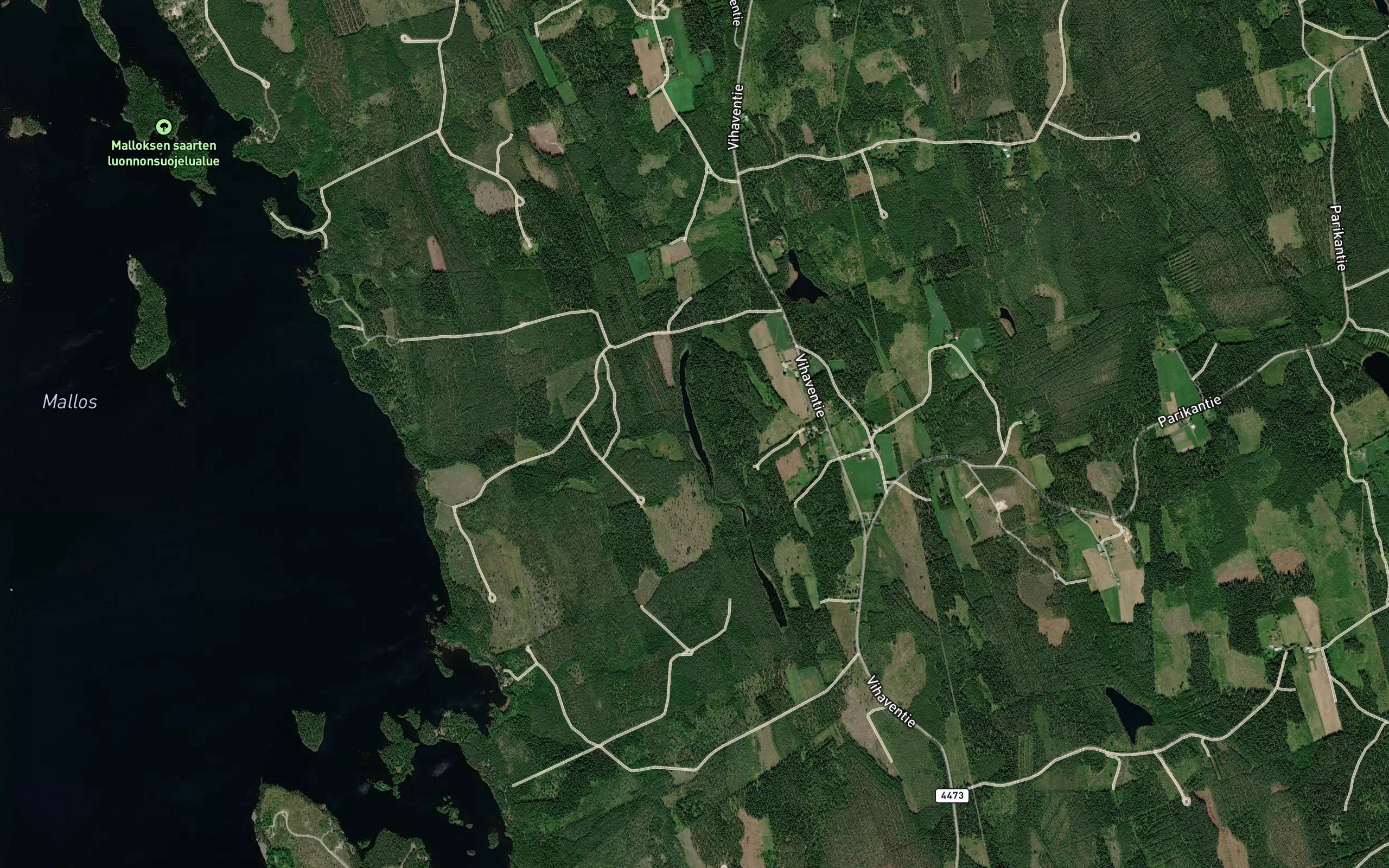 Vihautlampi