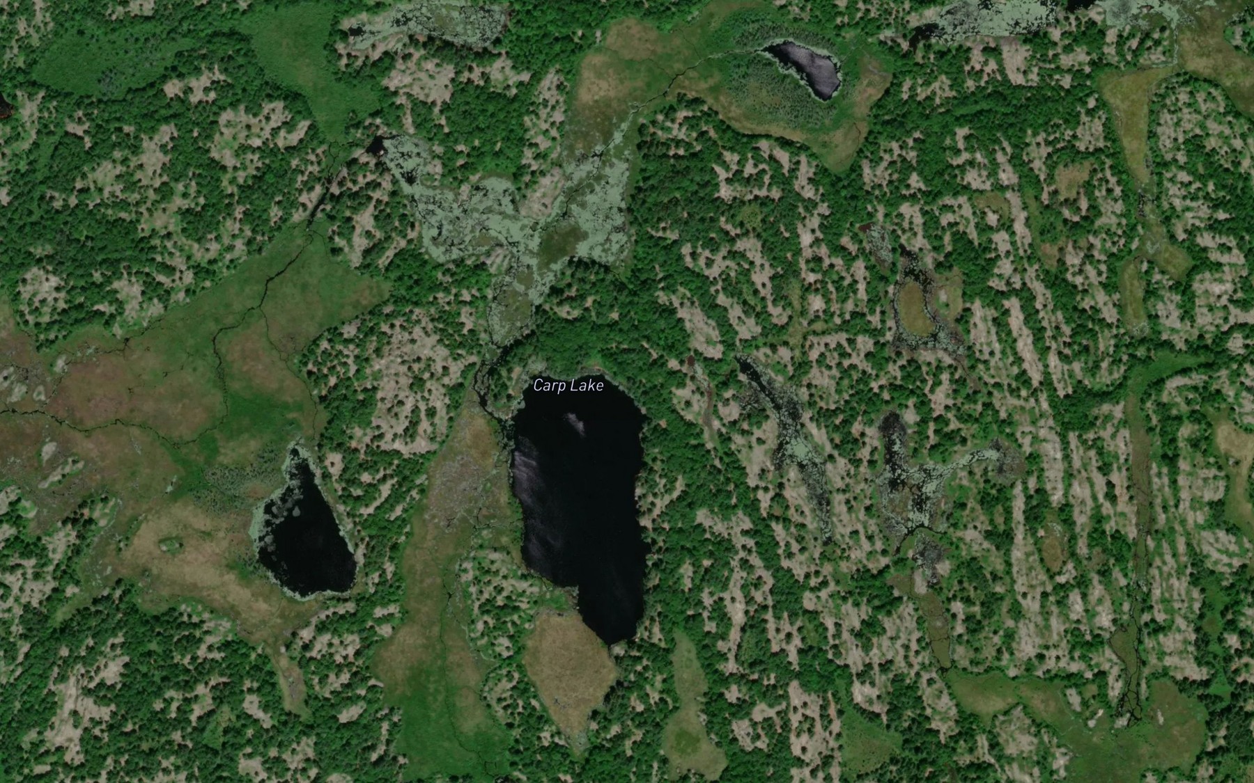 Satellite map of the Carp Lake