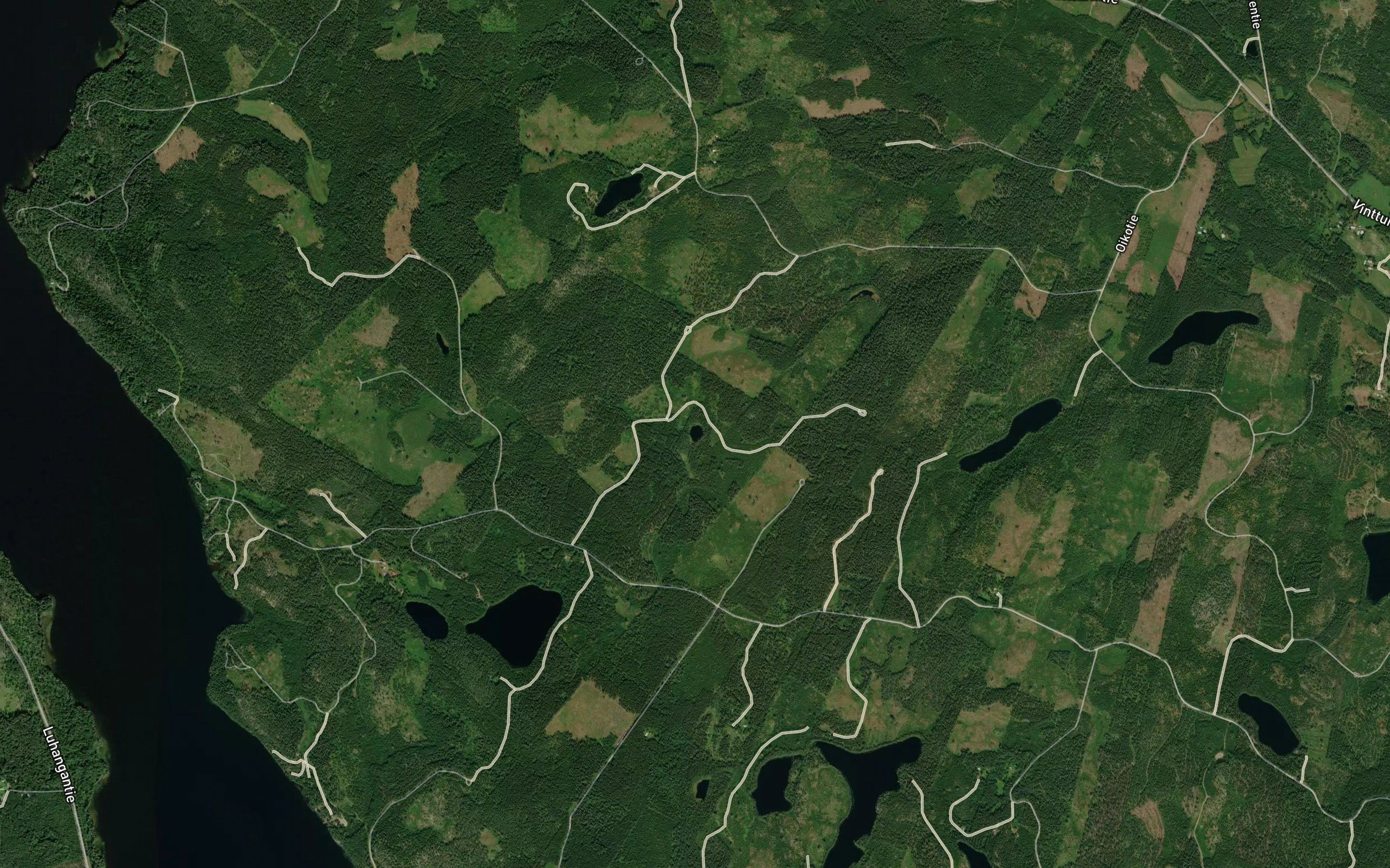 Eskonlammi