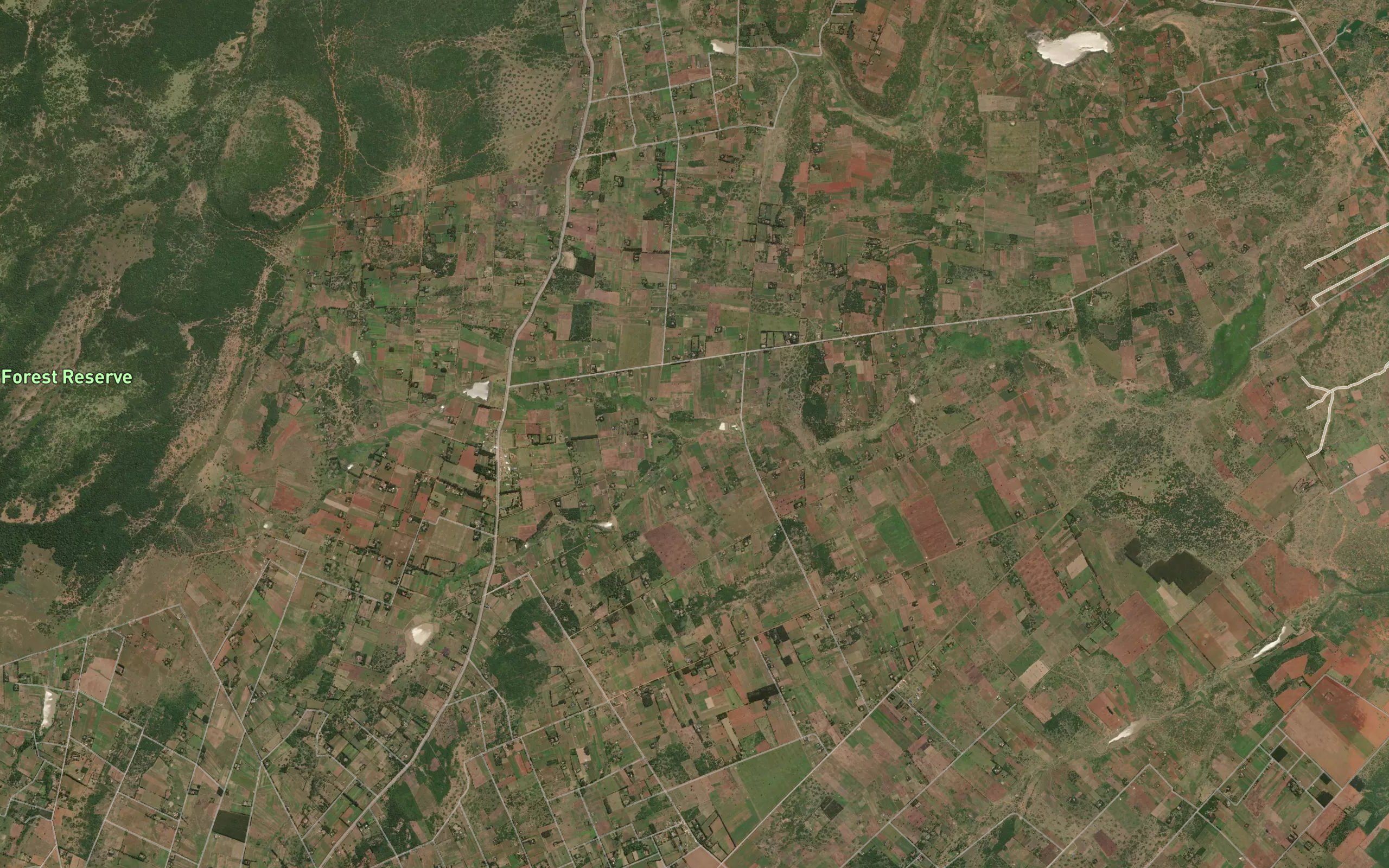 Ol Ng'arua