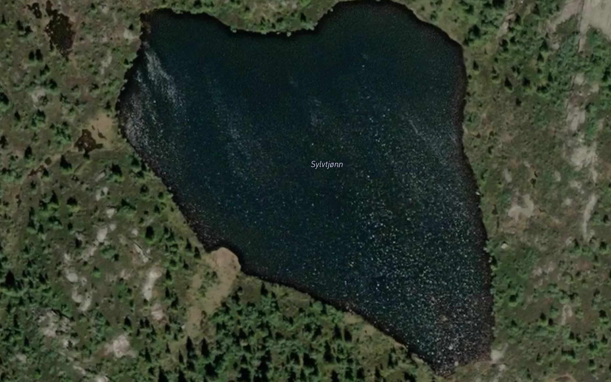 Sylvtjonn