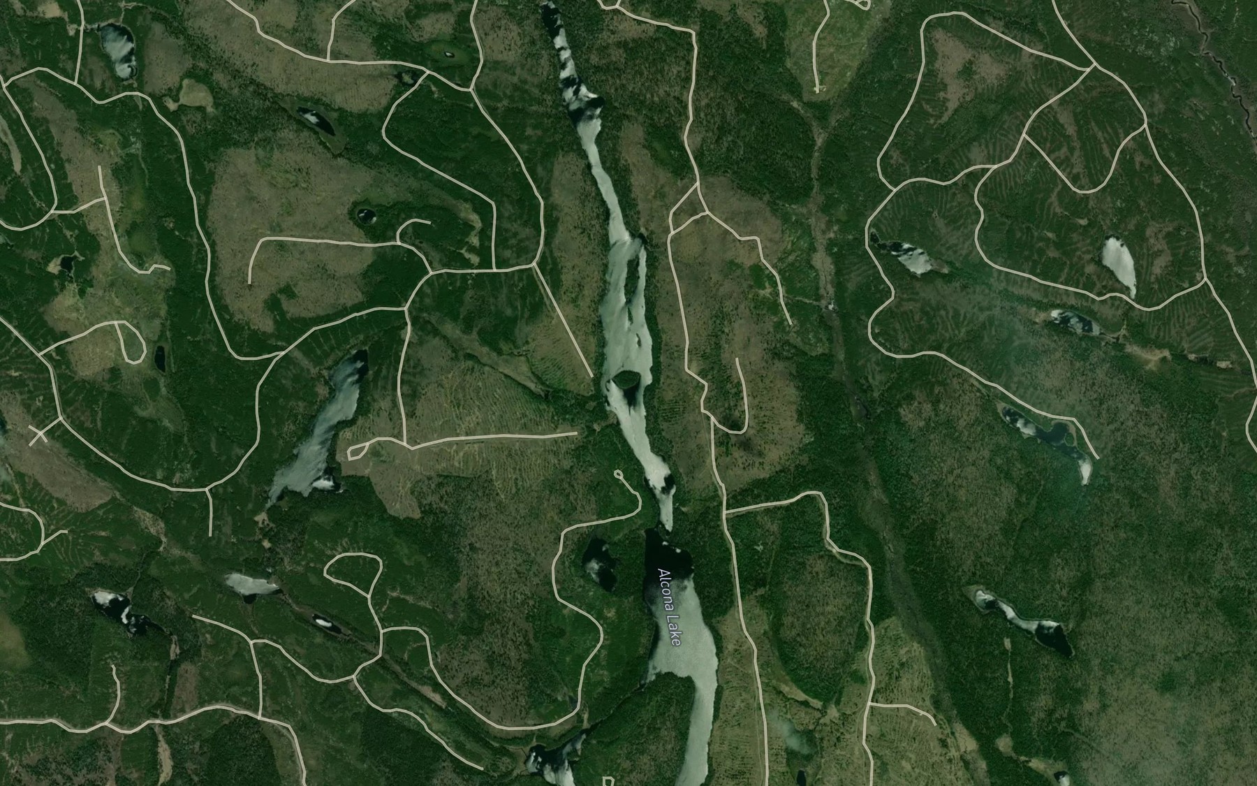 Satellite map of the Alcona Lake