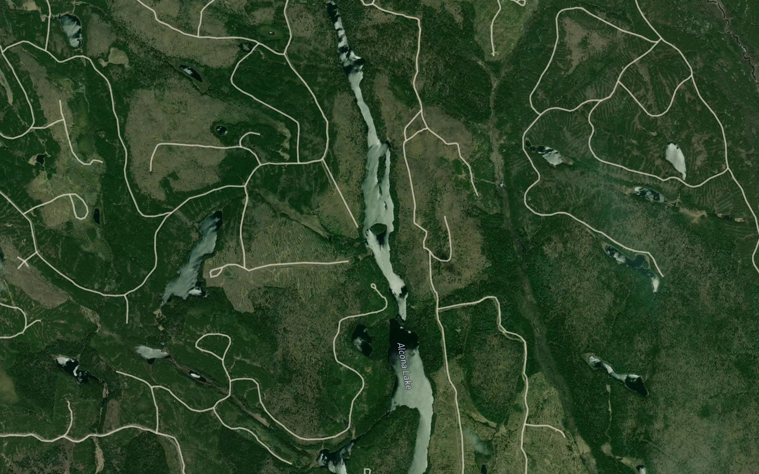 Alcona Lake