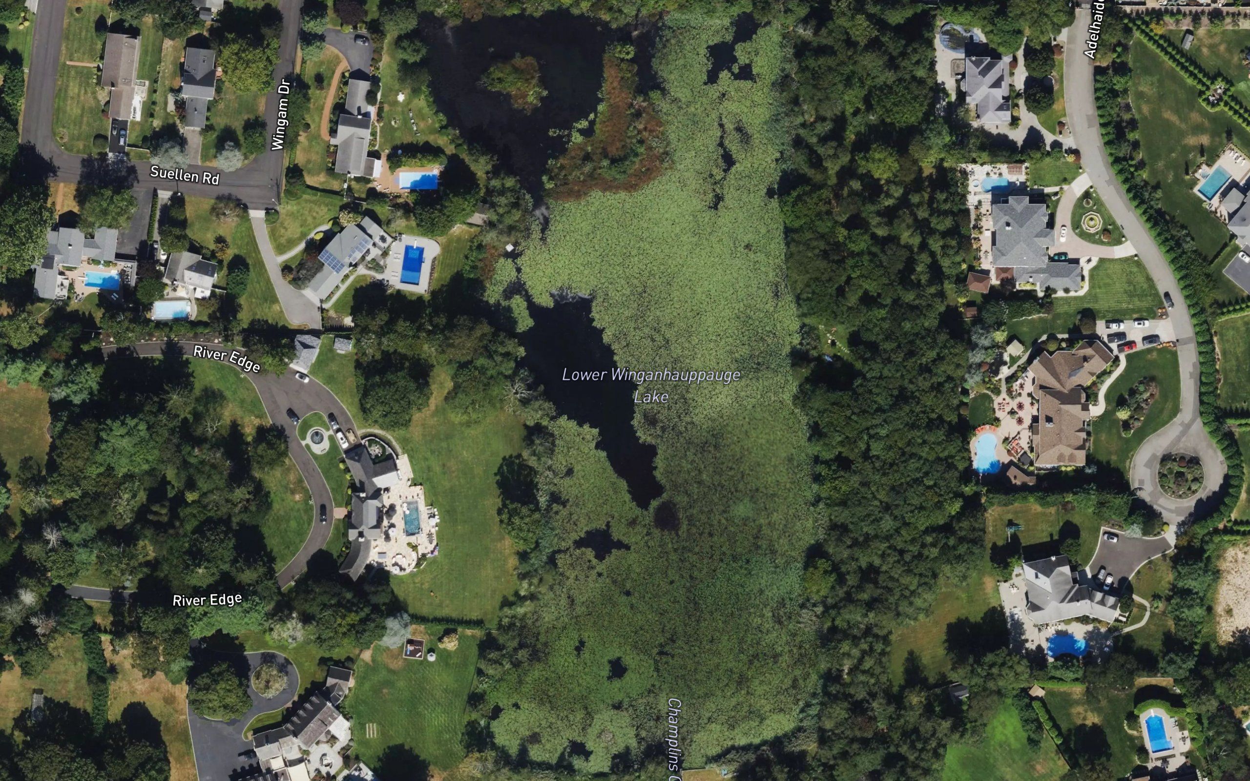 Lower Winganhauppauge Lake