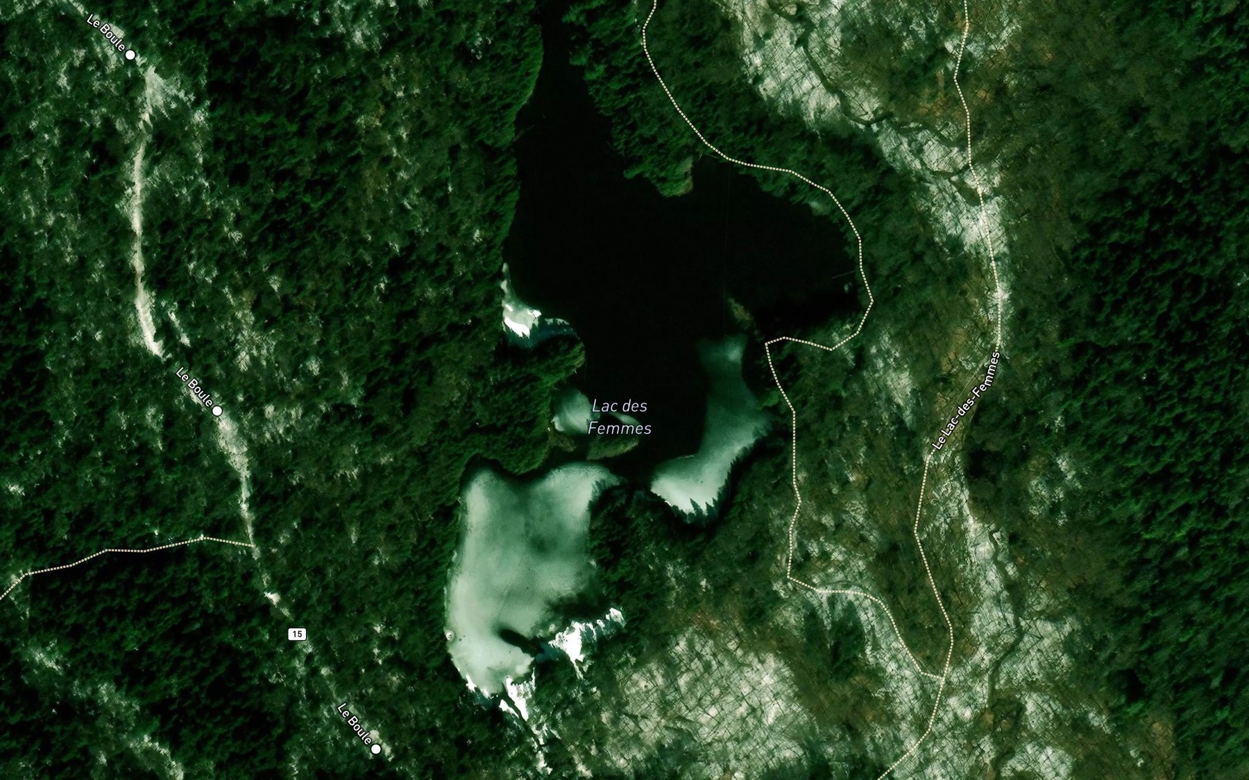 Satellite map of the Lac des Femmes