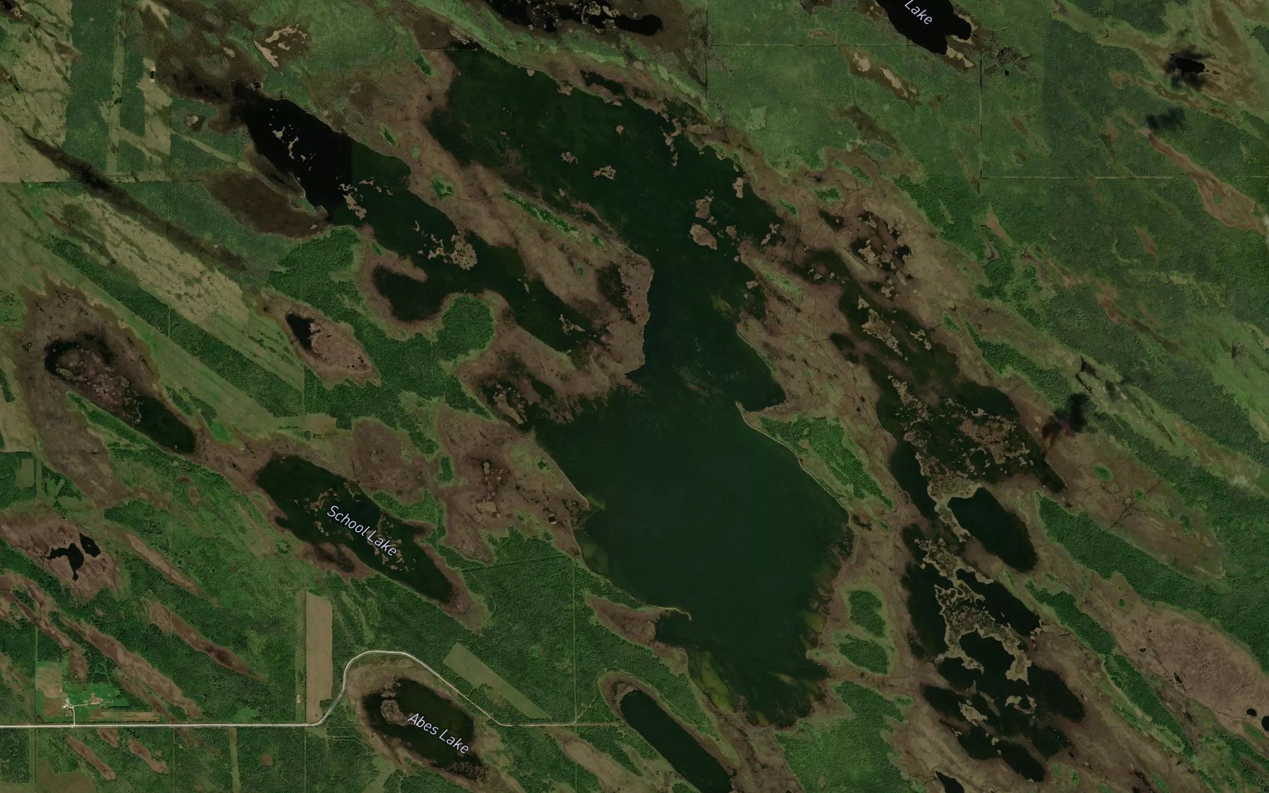 Satellite map of the Birch Lake