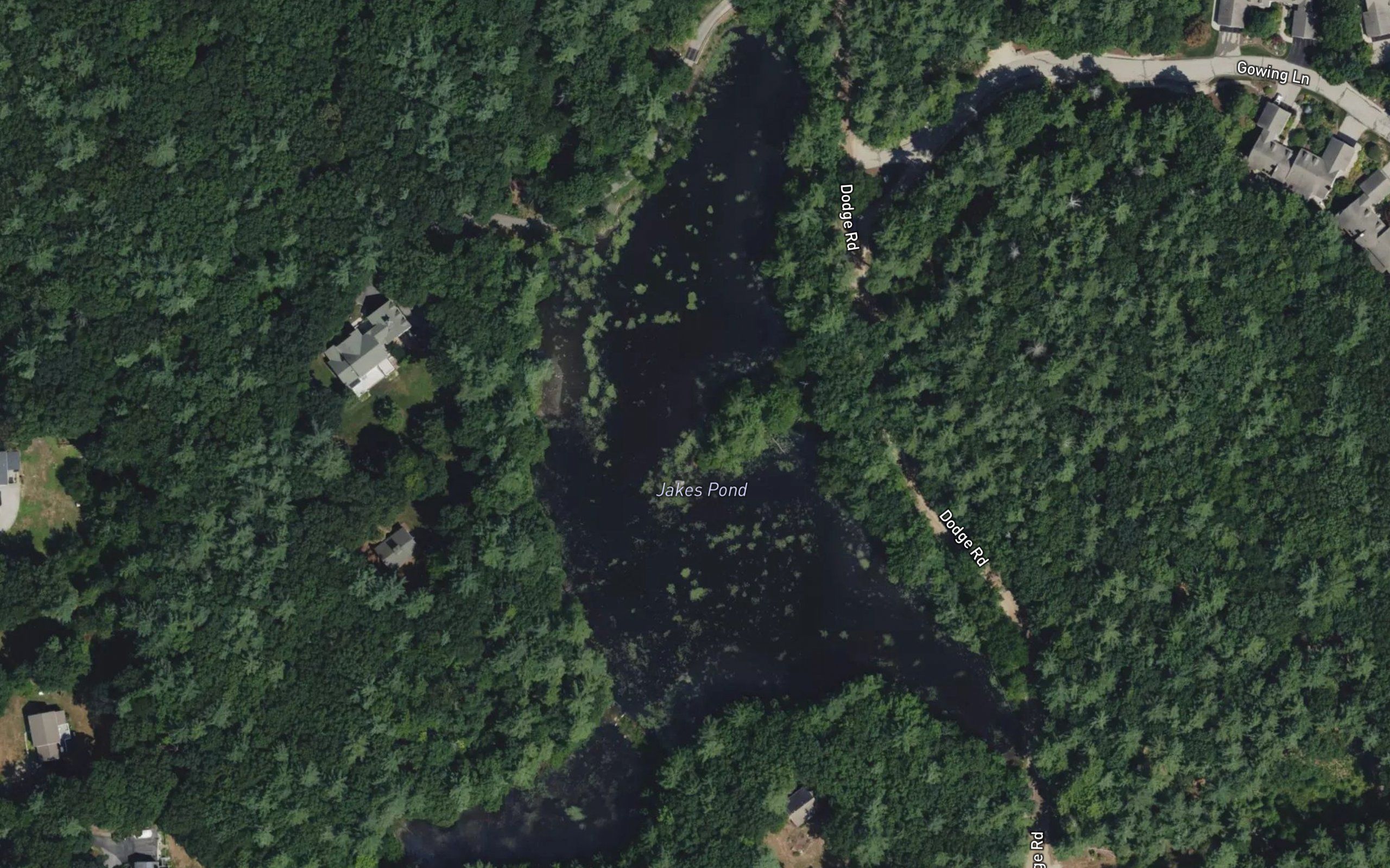Jakes Pond