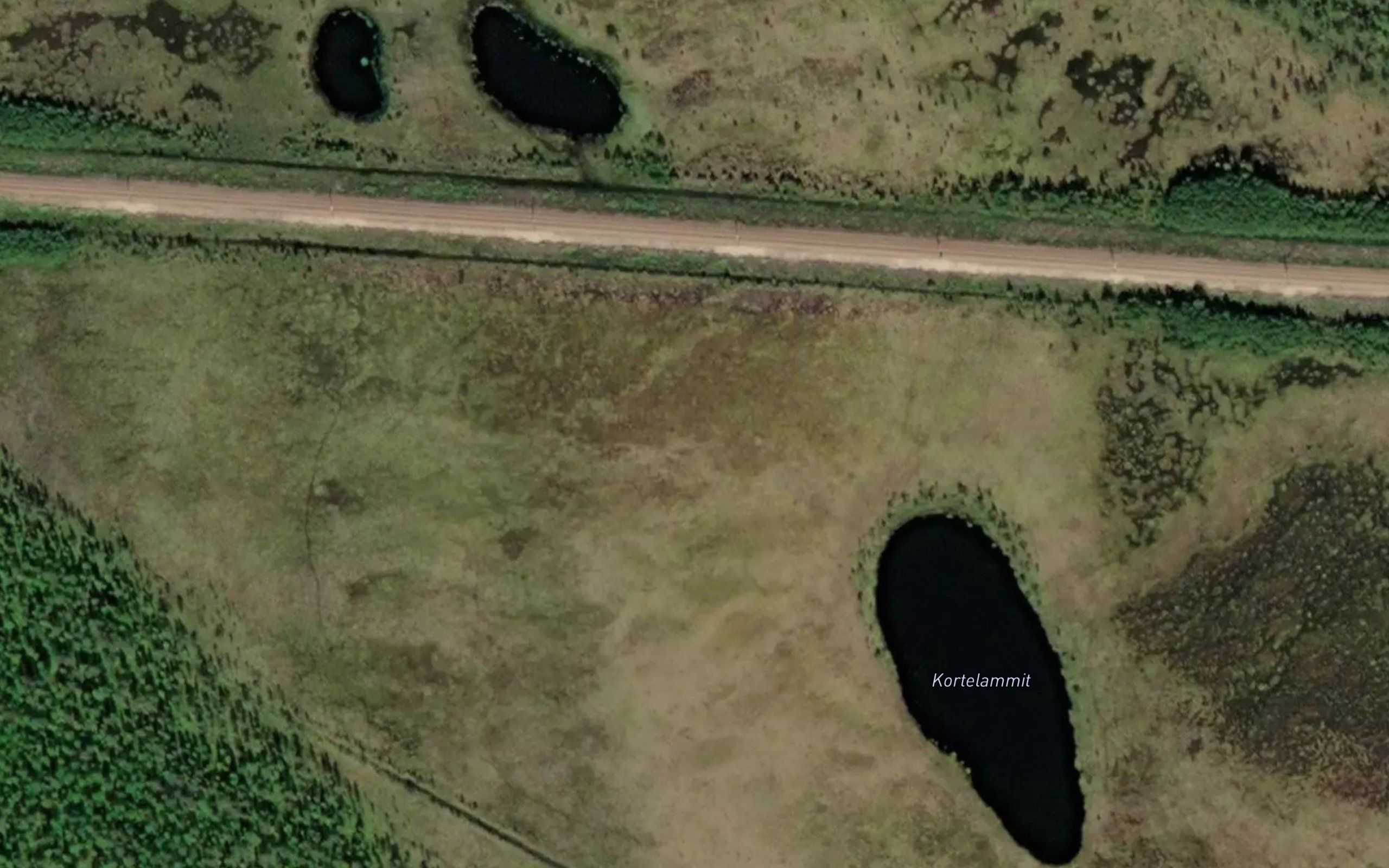 Kortelammit