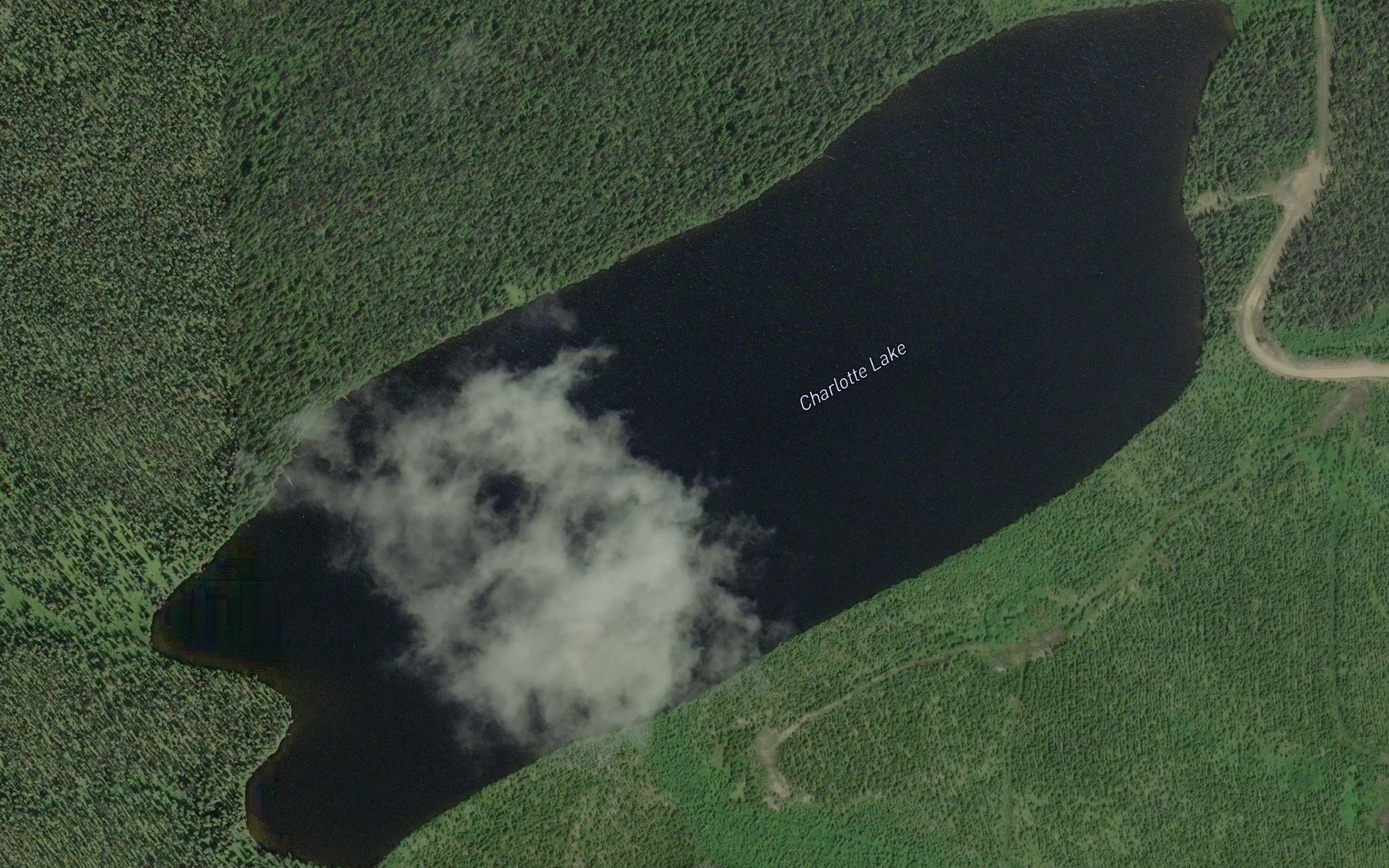Satellite map of the Charlotte Lake