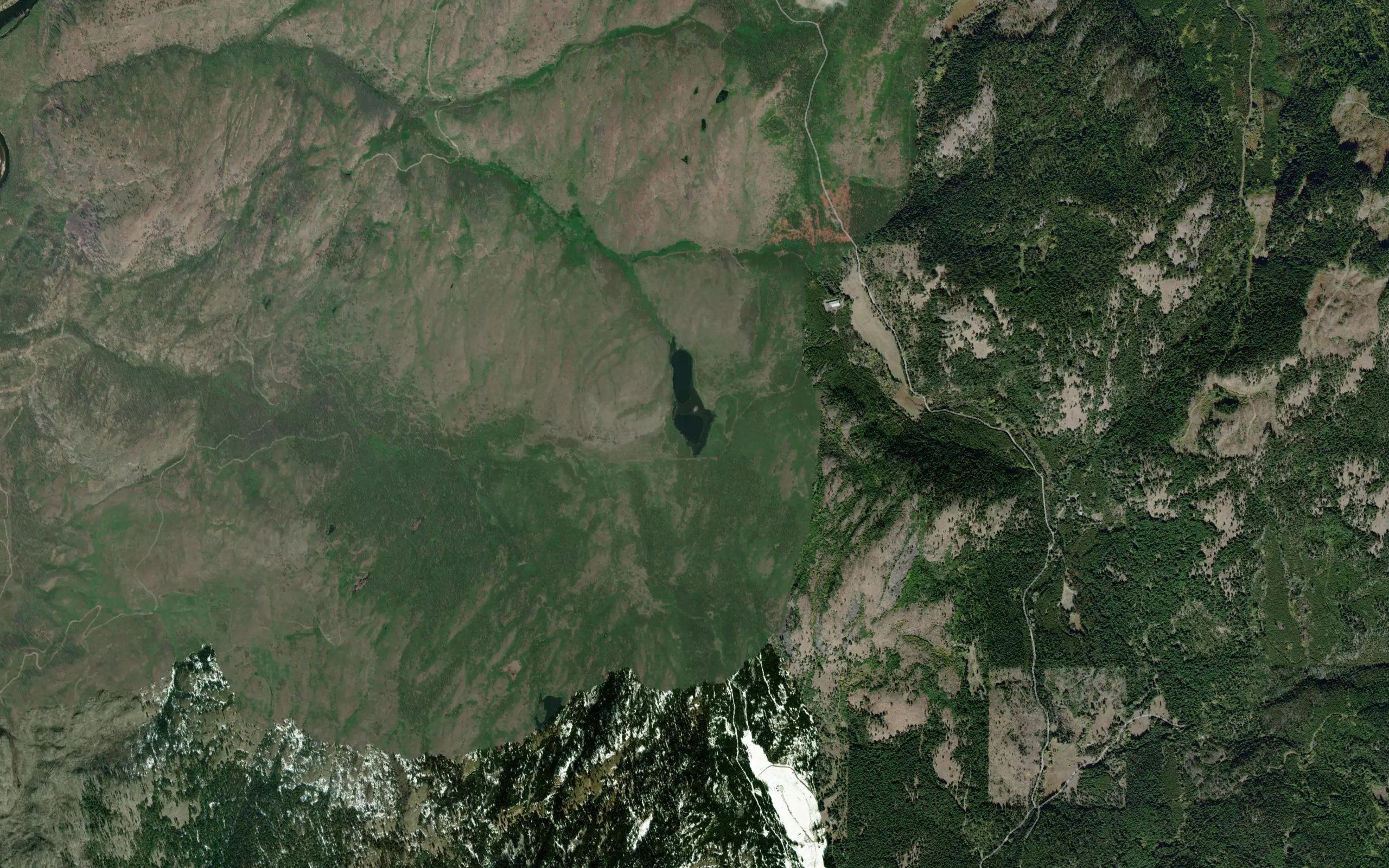 Louise Lake