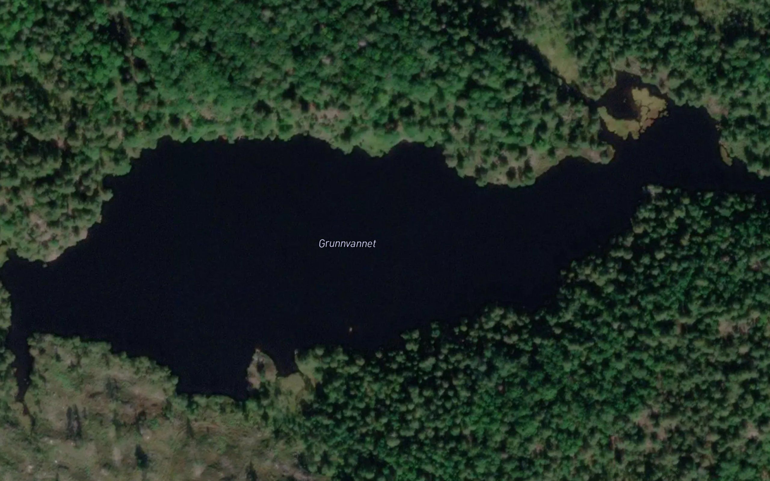 Grunnvannet